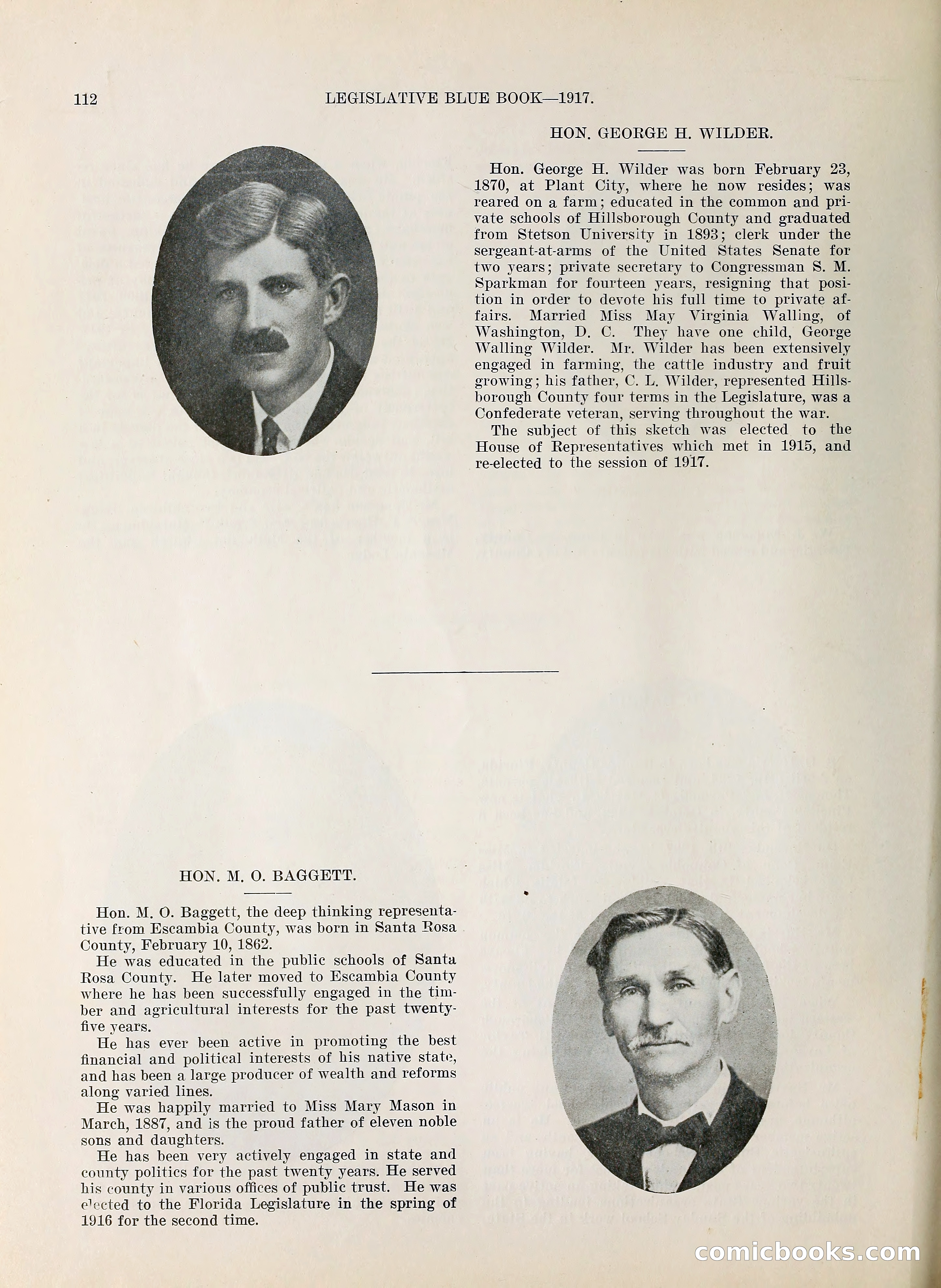 Legislative Blue Book, 1917 — page 121 of 148
