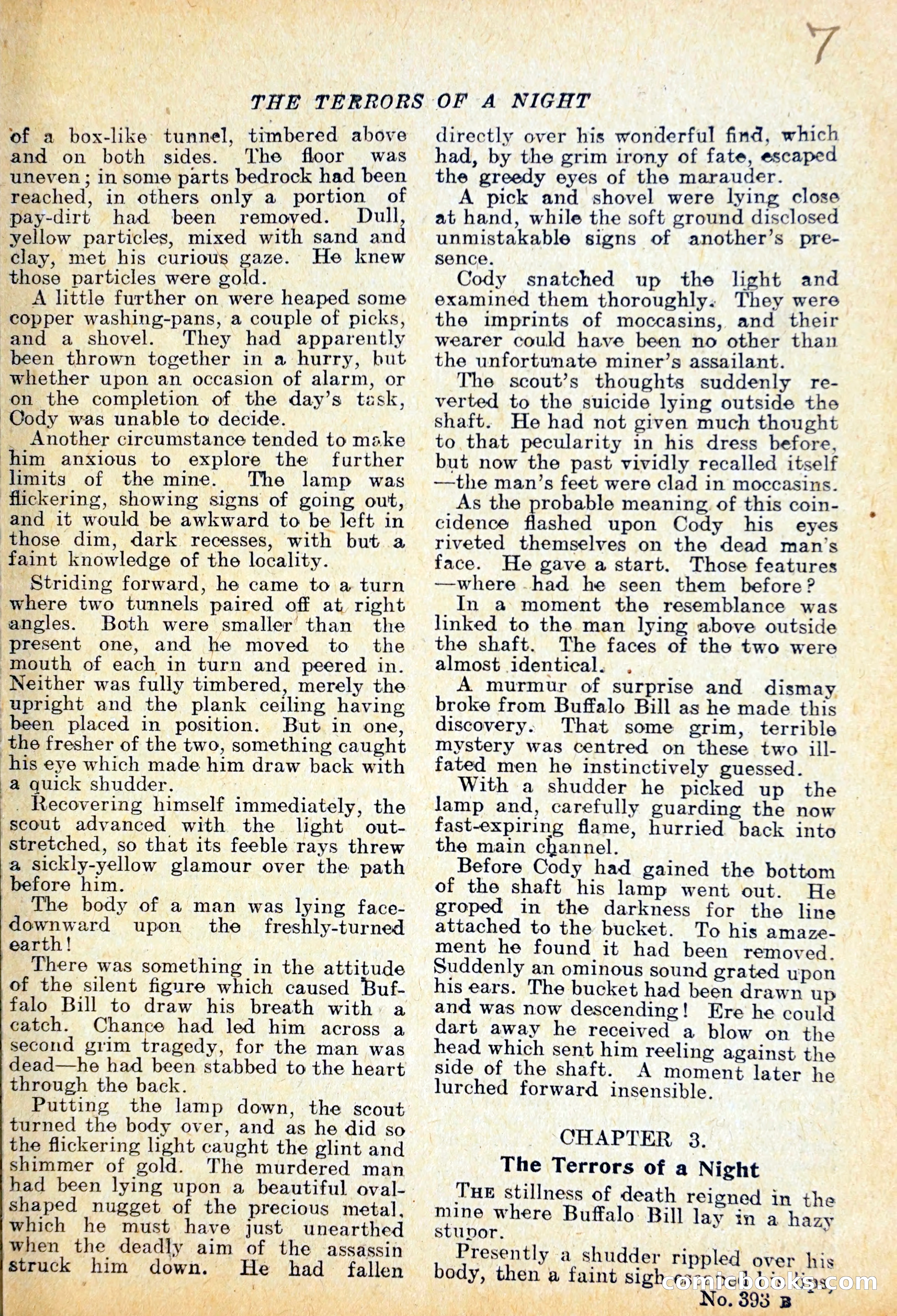 The Lone Camp Mystery — page 8 of 29