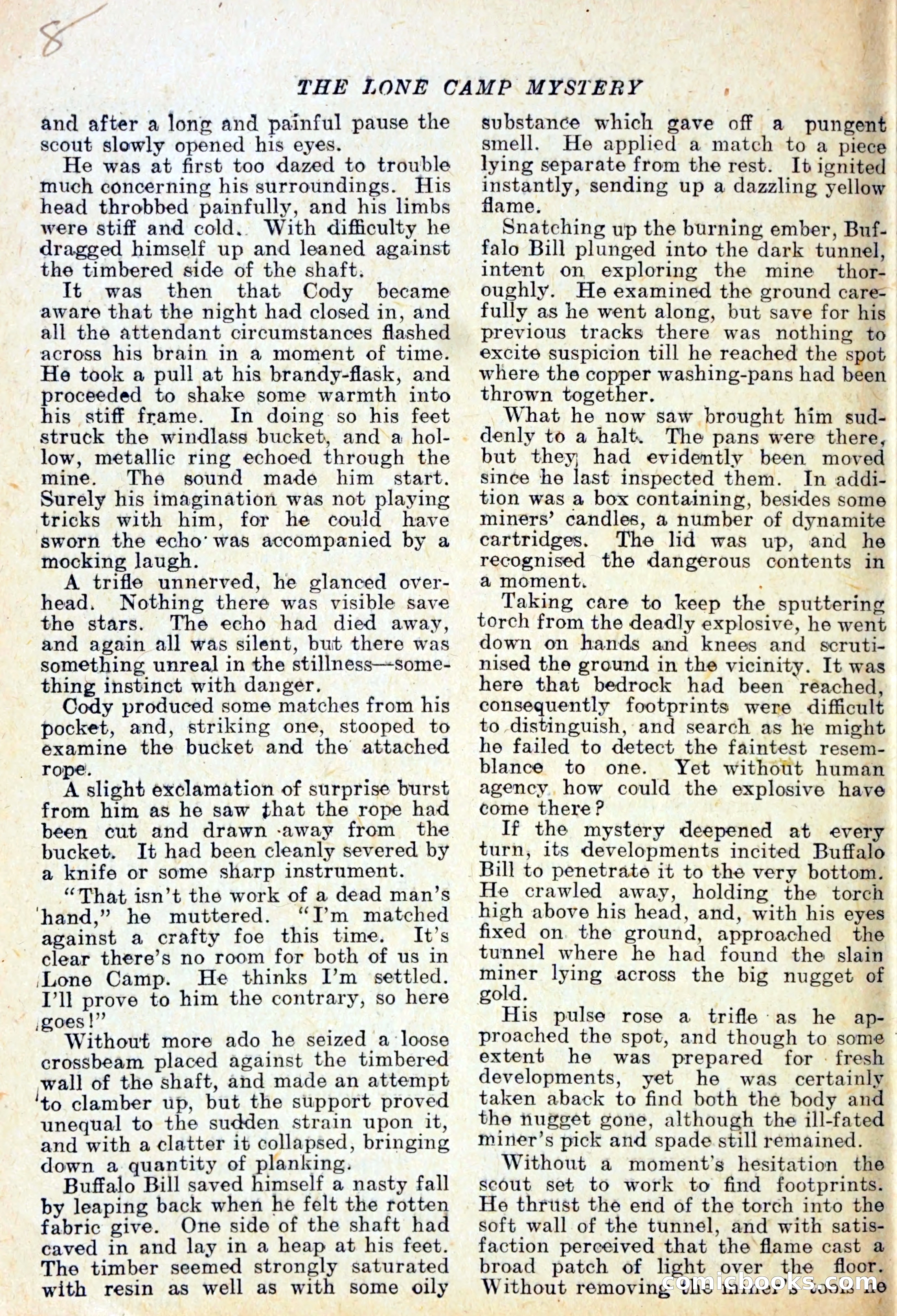 The Lone Camp Mystery — page 9 of 29