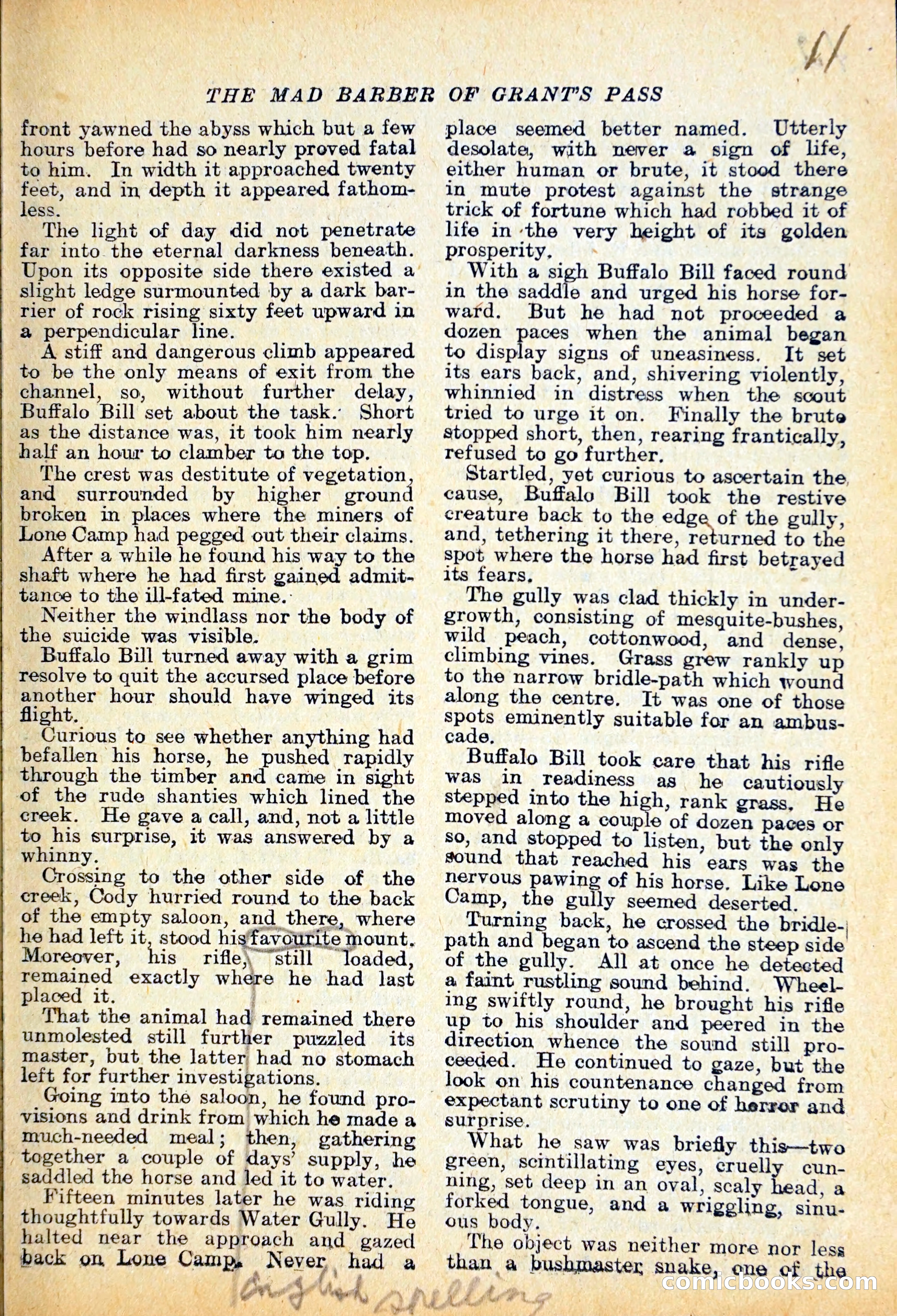 The Lone Camp Mystery — page 12 of 29