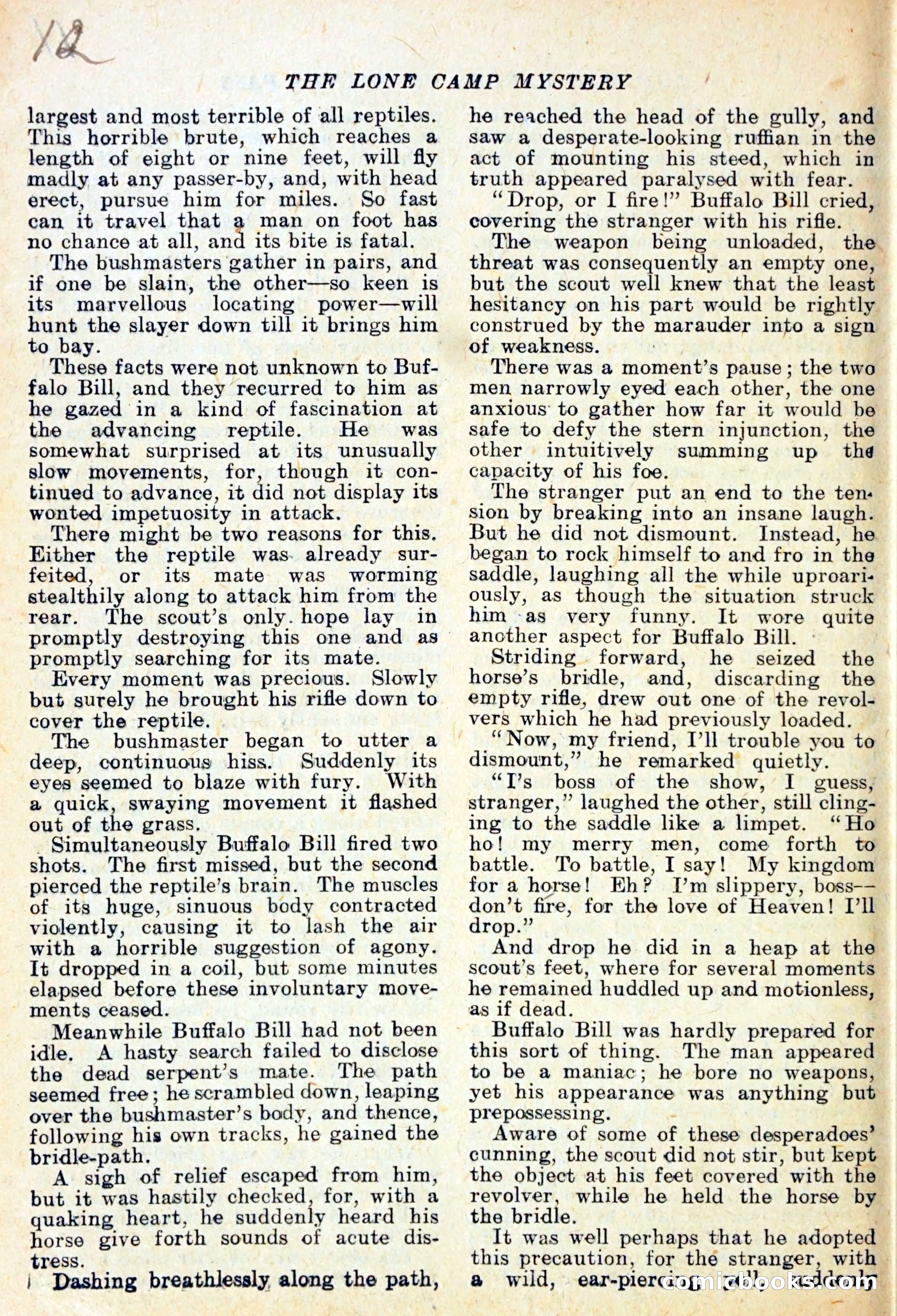The Lone Camp Mystery — page 13 of 29