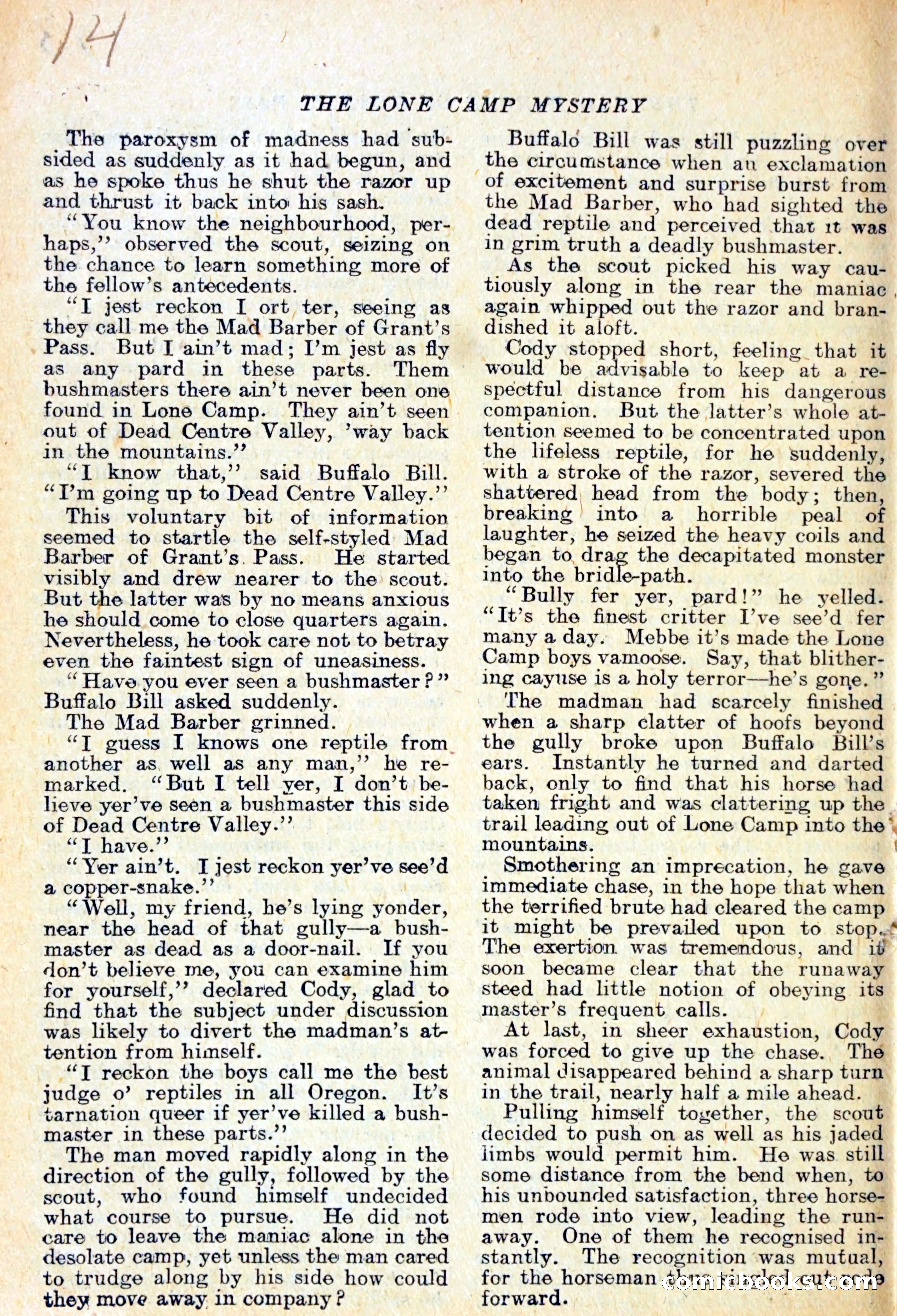 The Lone Camp Mystery — page 15 of 29