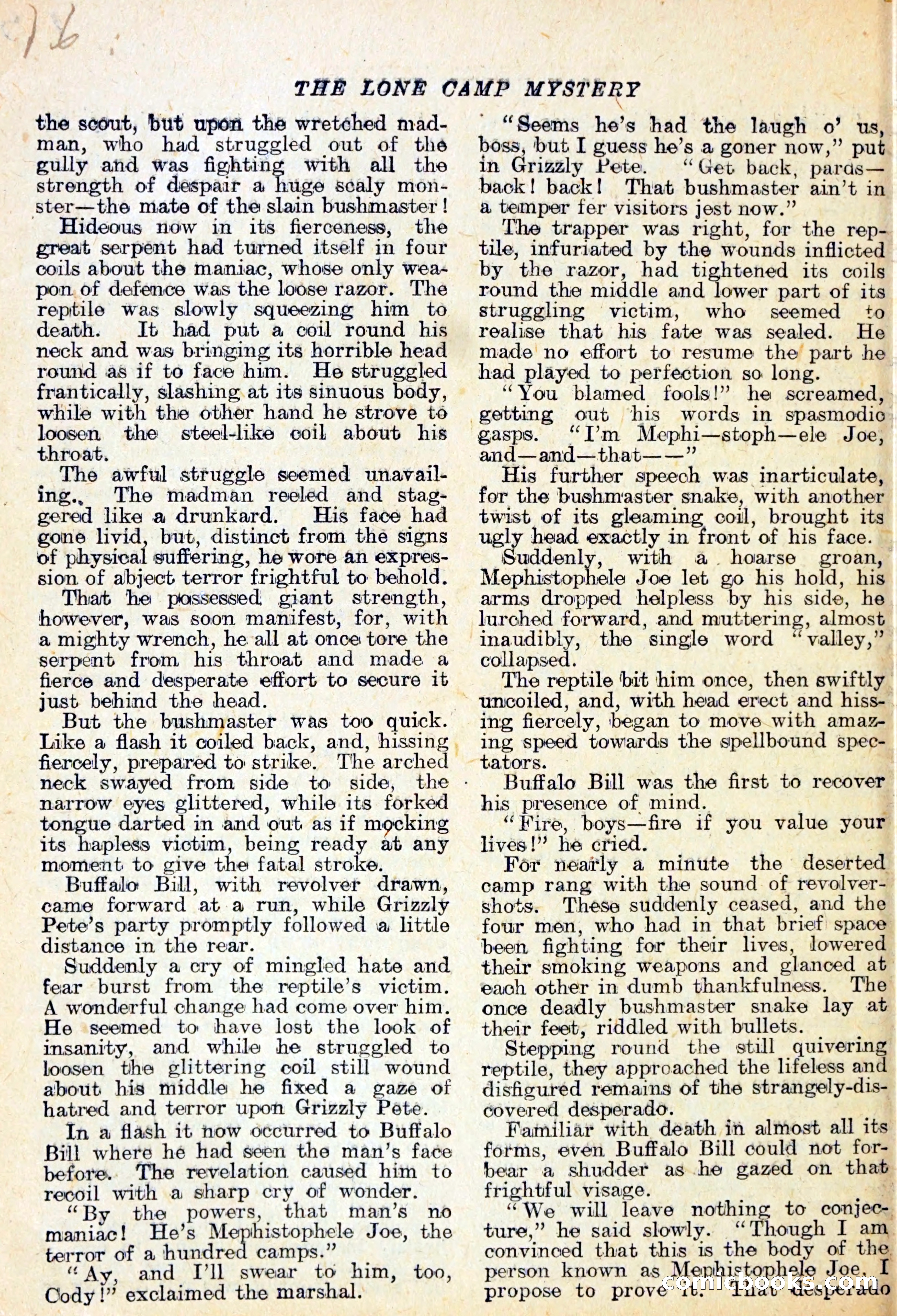 The Lone Camp Mystery — page 17 of 29