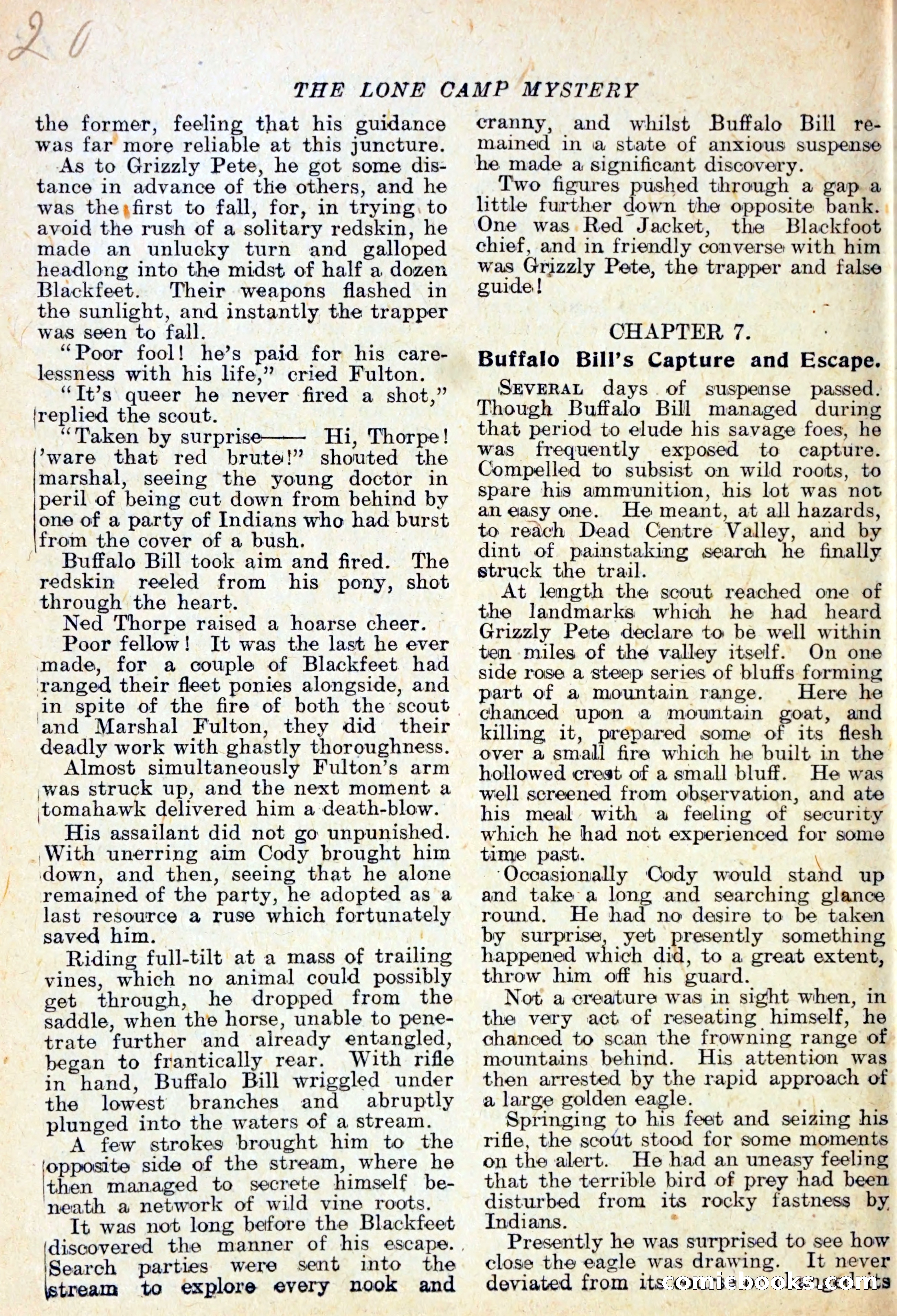 The Lone Camp Mystery — page 21 of 29