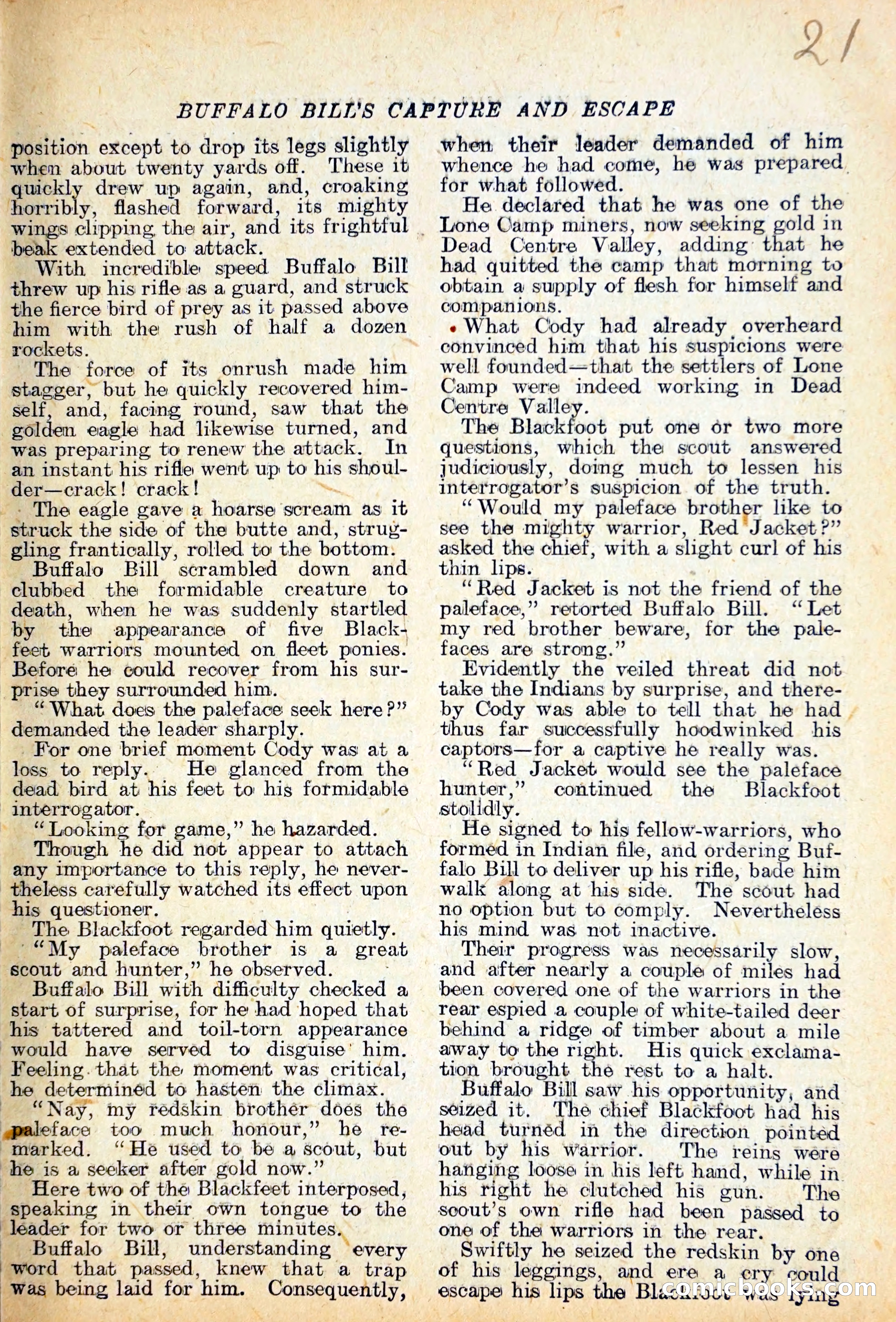 The Lone Camp Mystery — page 22 of 29
