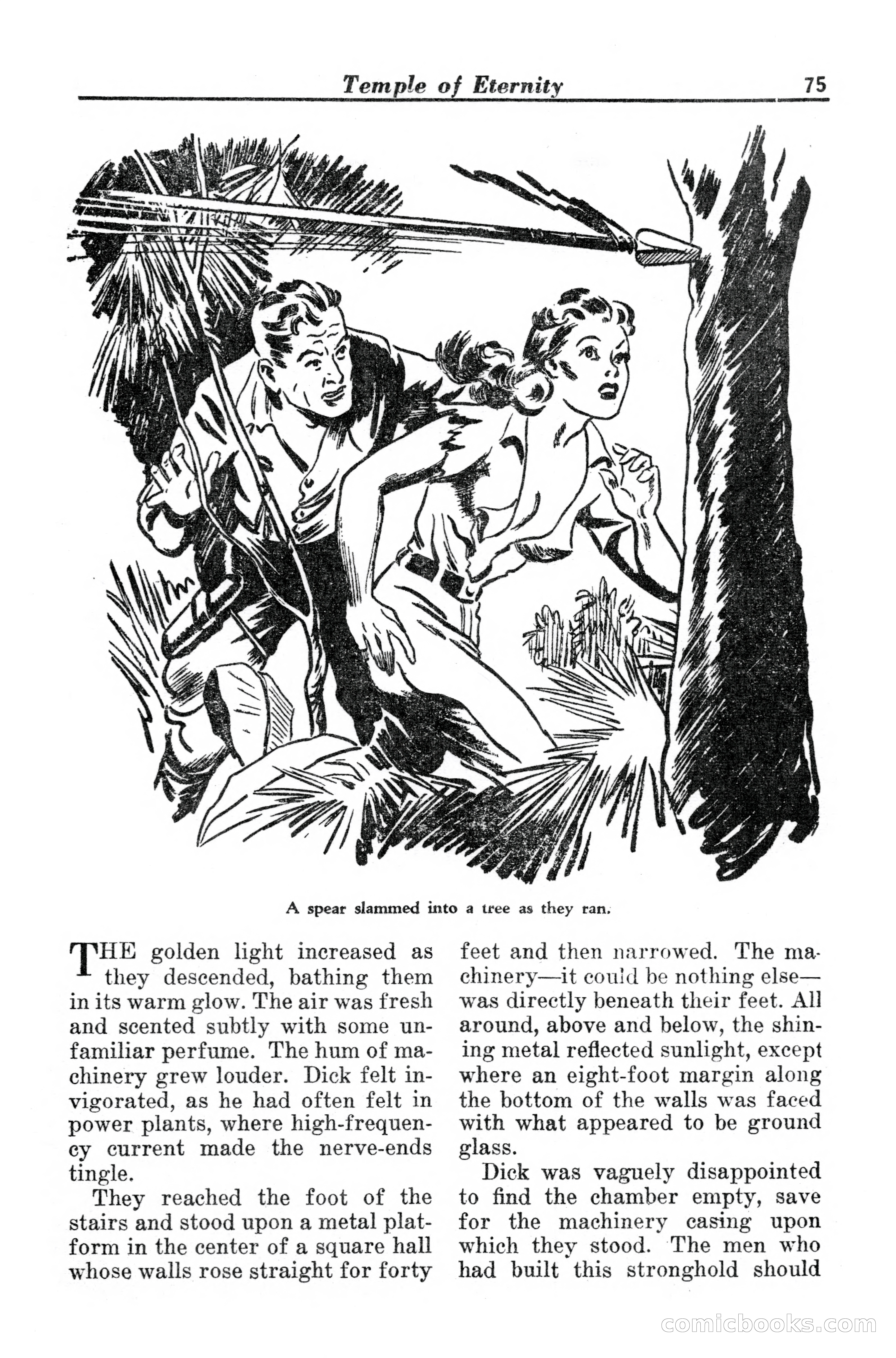 Spicy Adventure Stories — page 77 of 116