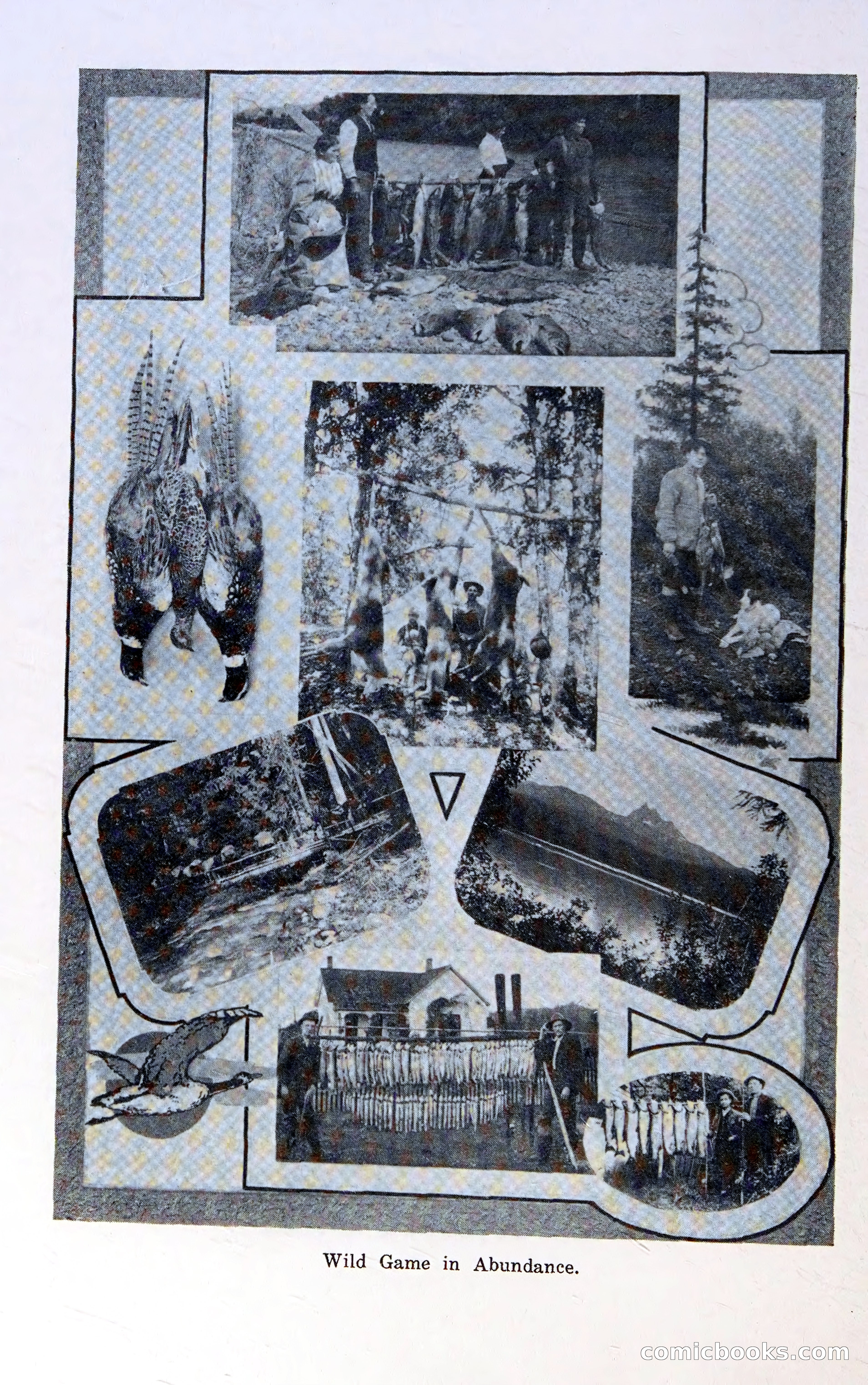 Oregon Blue Book, 1911 Commemorative Edition — page 31 of 141