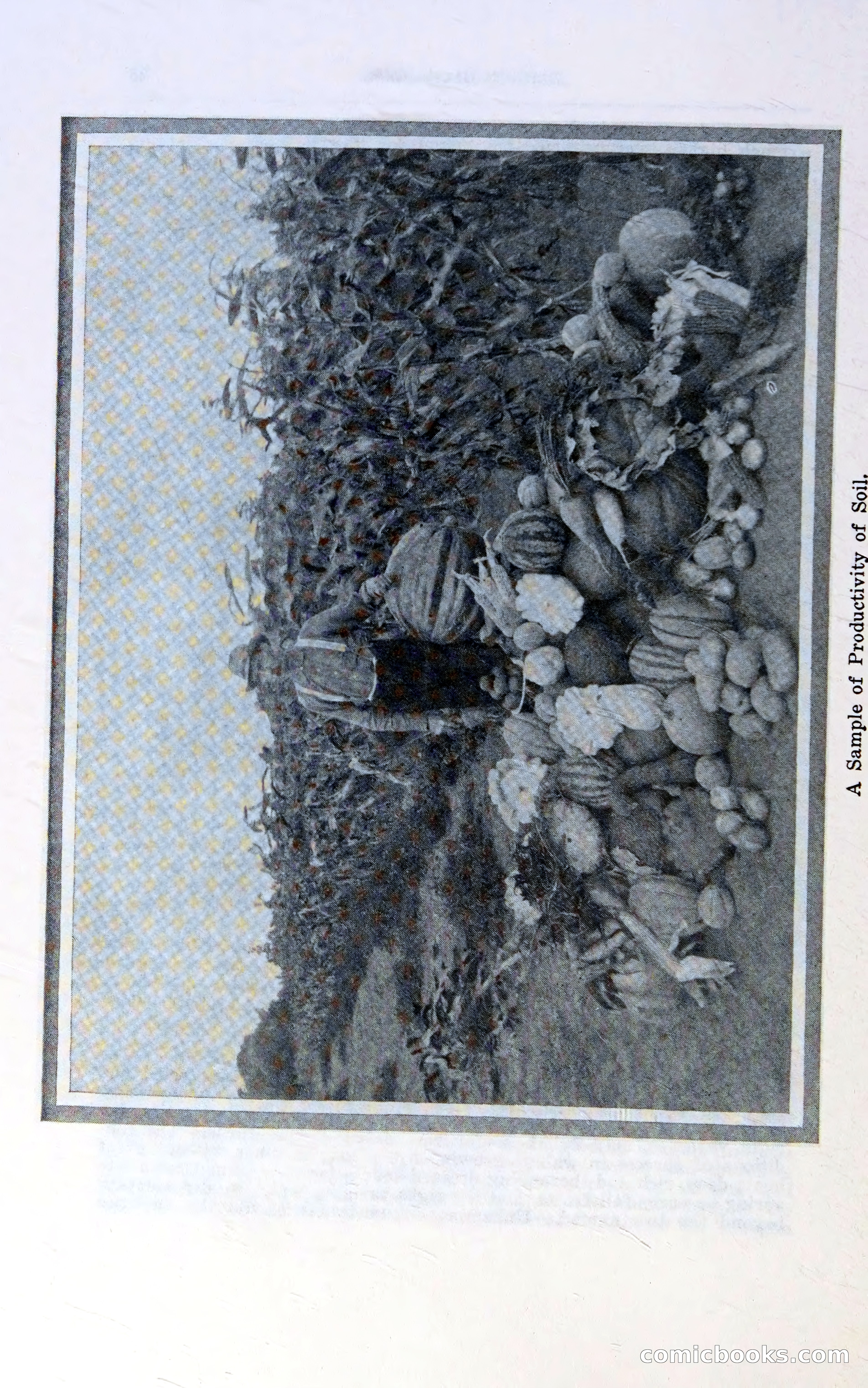 Oregon Blue Book, 1911 Commemorative Edition — page 39 of 141