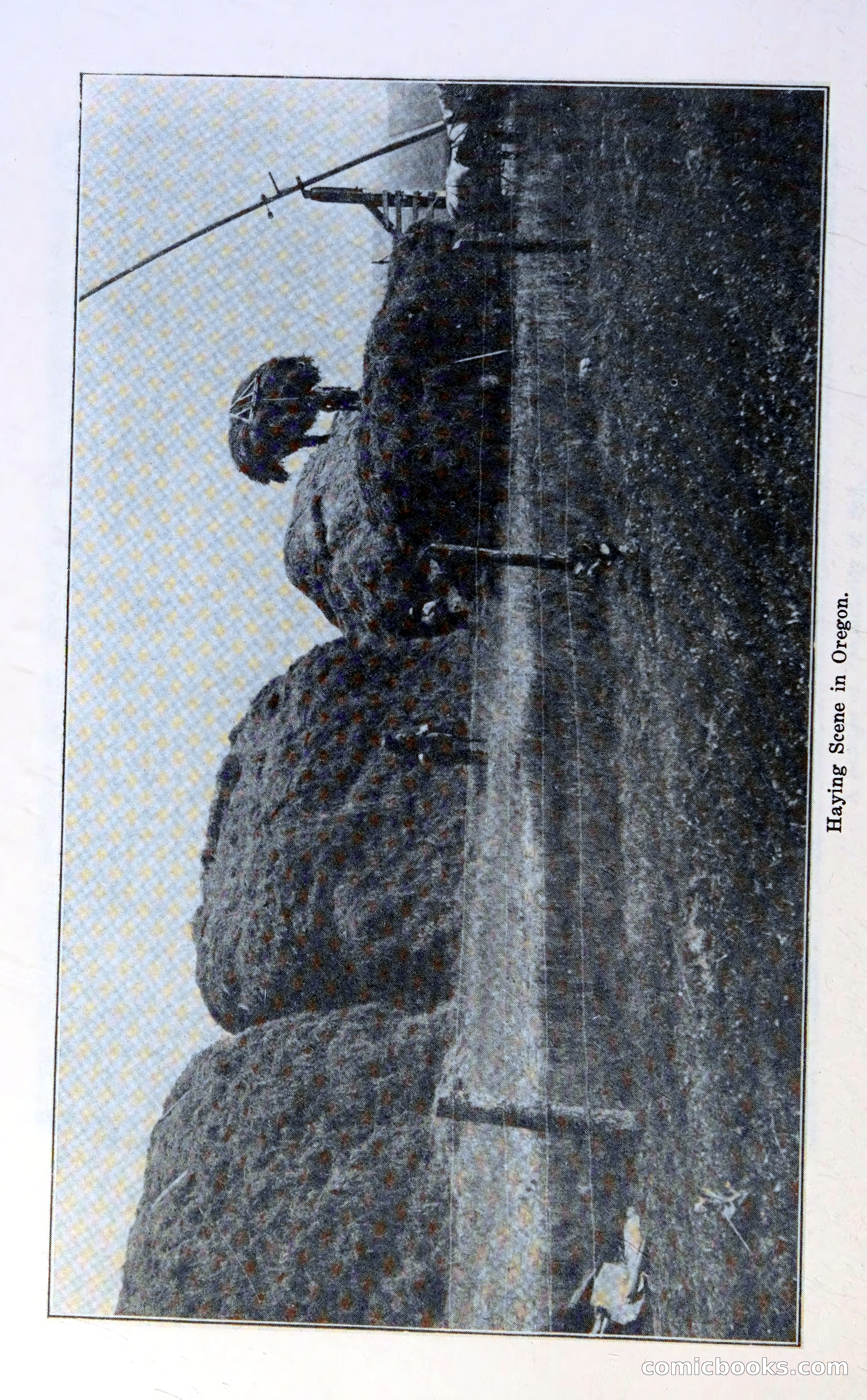 Oregon Blue Book, 1911 Commemorative Edition — page 41 of 141