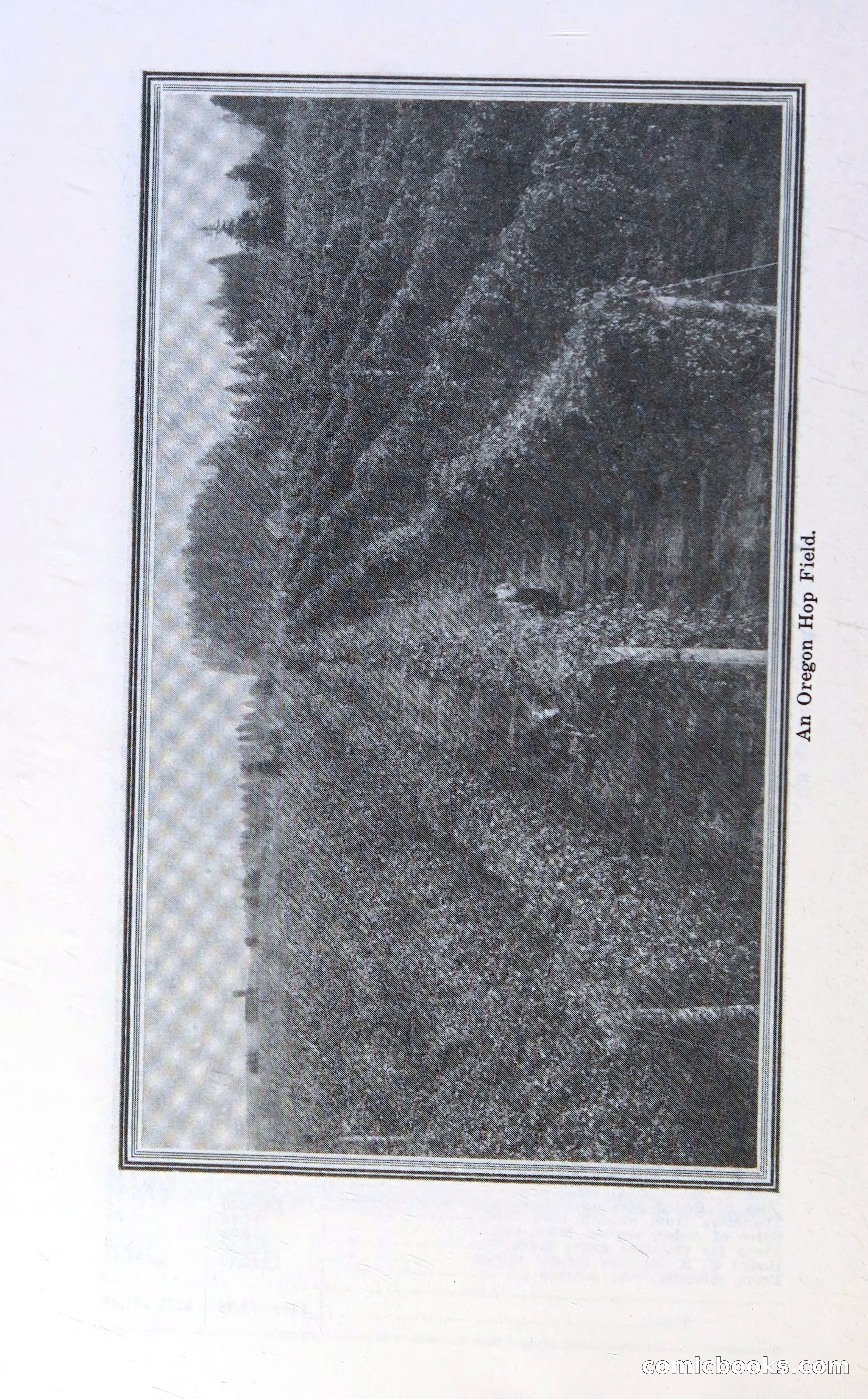 Oregon Blue Book, 1911 Commemorative Edition — page 49 of 141