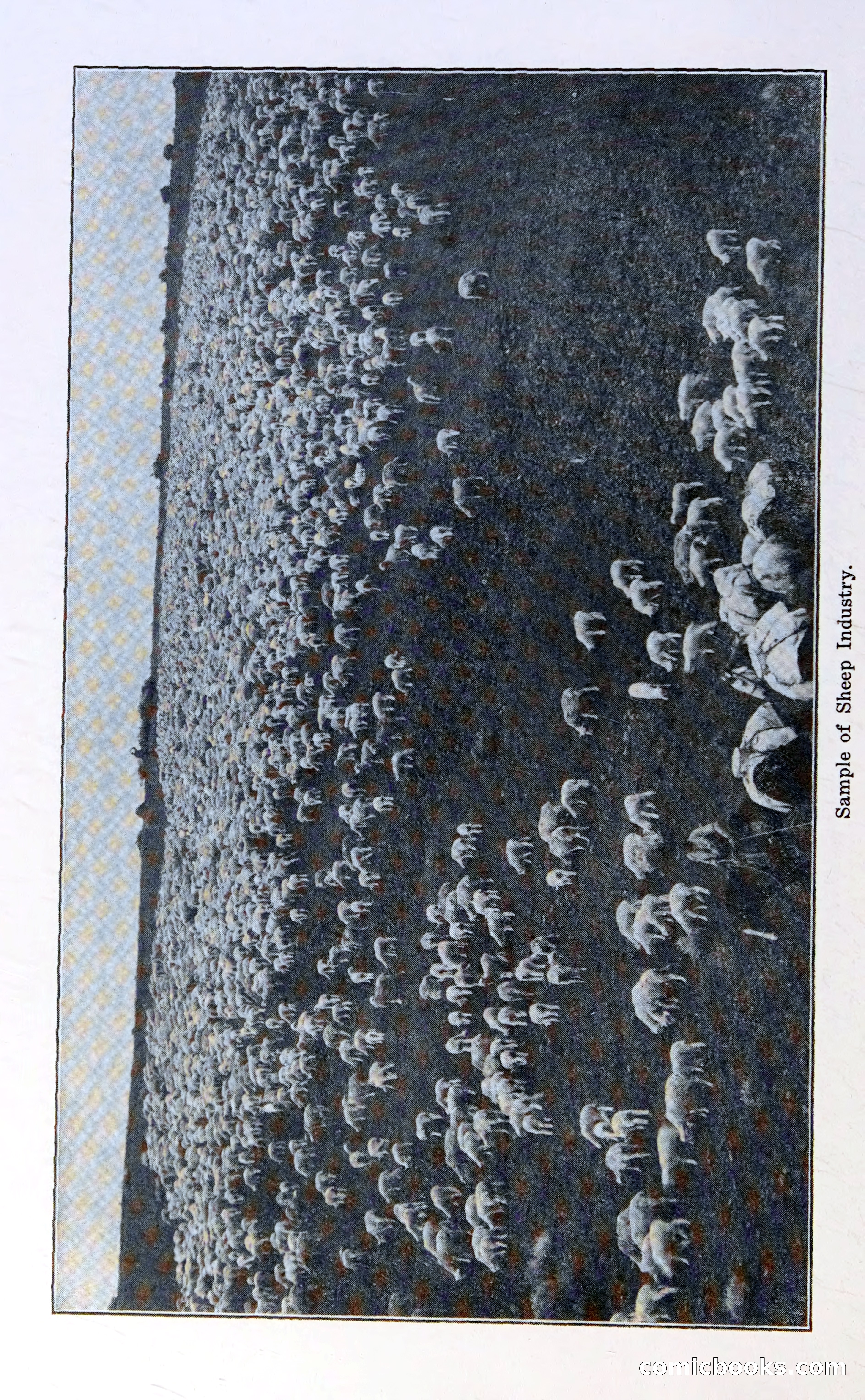 Oregon Blue Book, 1911 Commemorative Edition — page 57 of 141