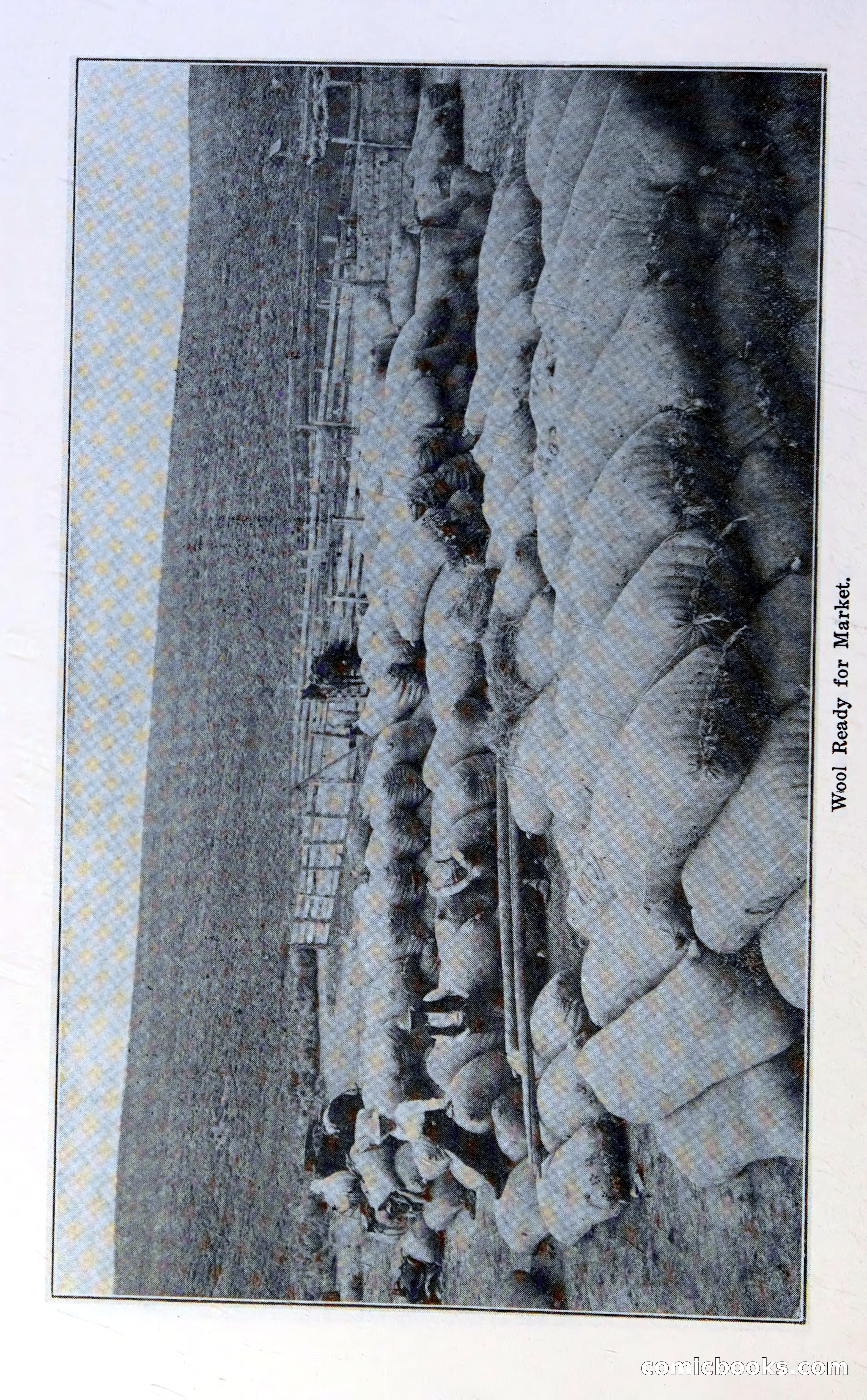 Oregon Blue Book, 1911 Commemorative Edition — page 59 of 141