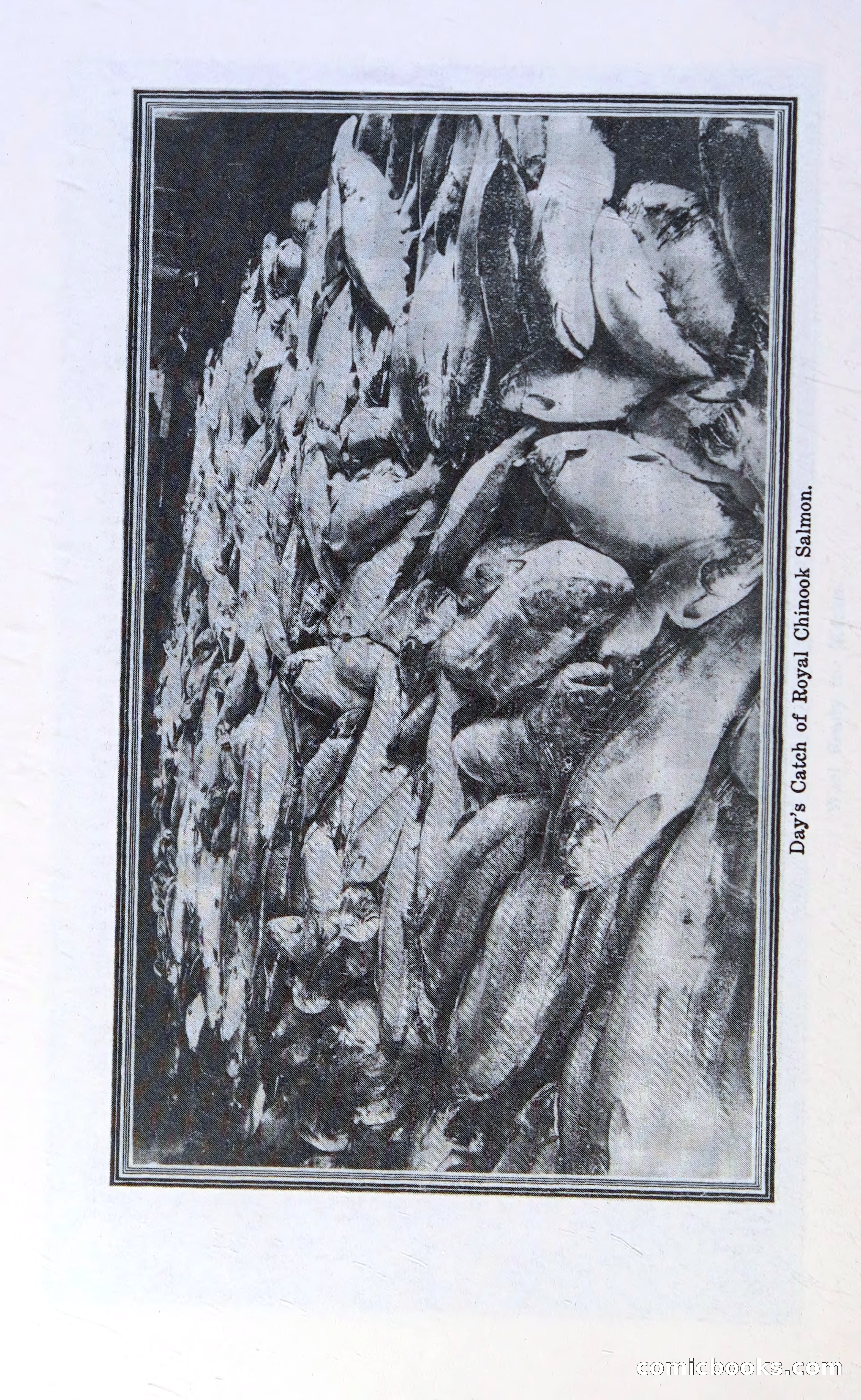 Oregon Blue Book, 1911 Commemorative Edition — page 61 of 141