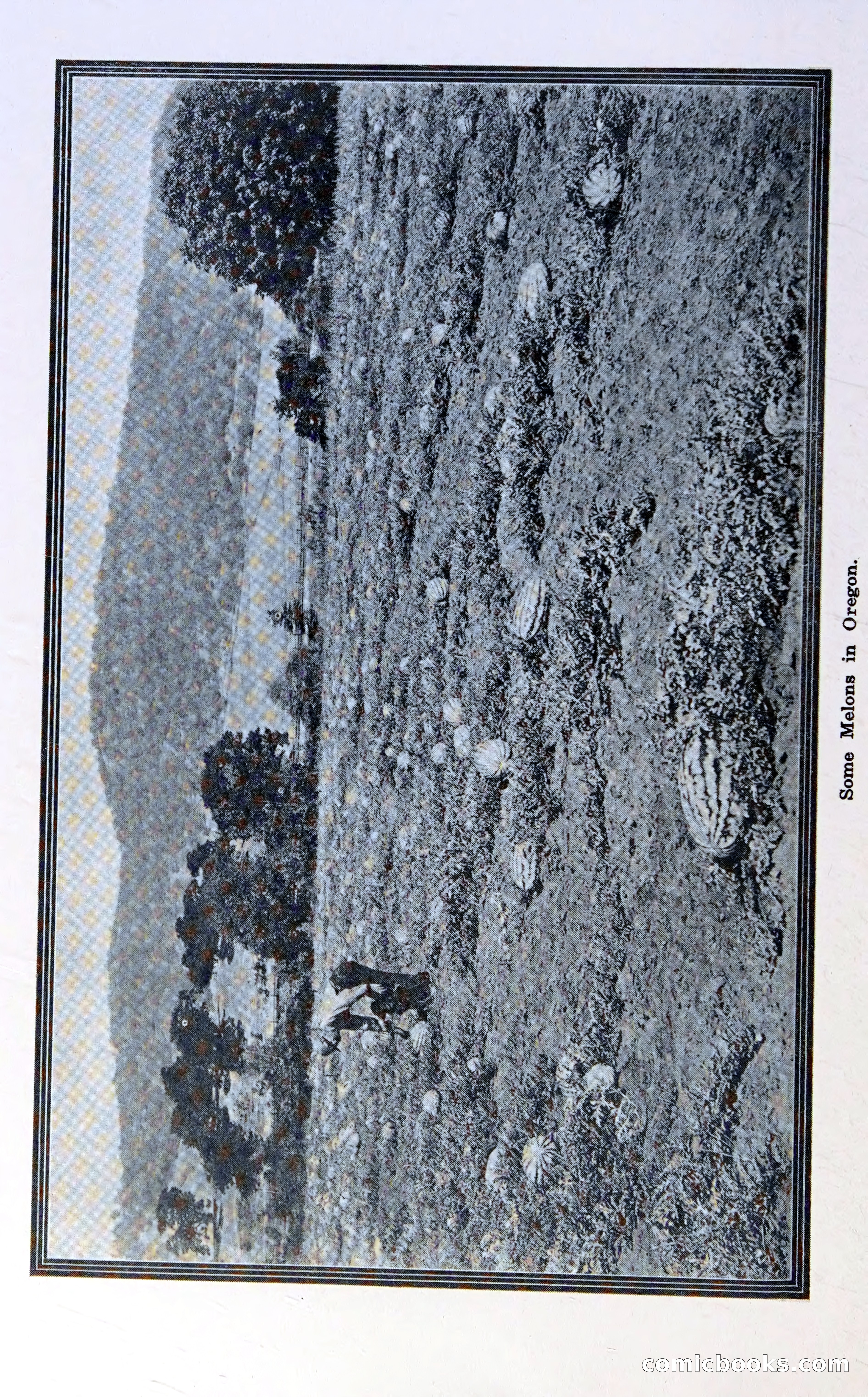 Oregon Blue Book, 1911 Commemorative Edition — page 65 of 141