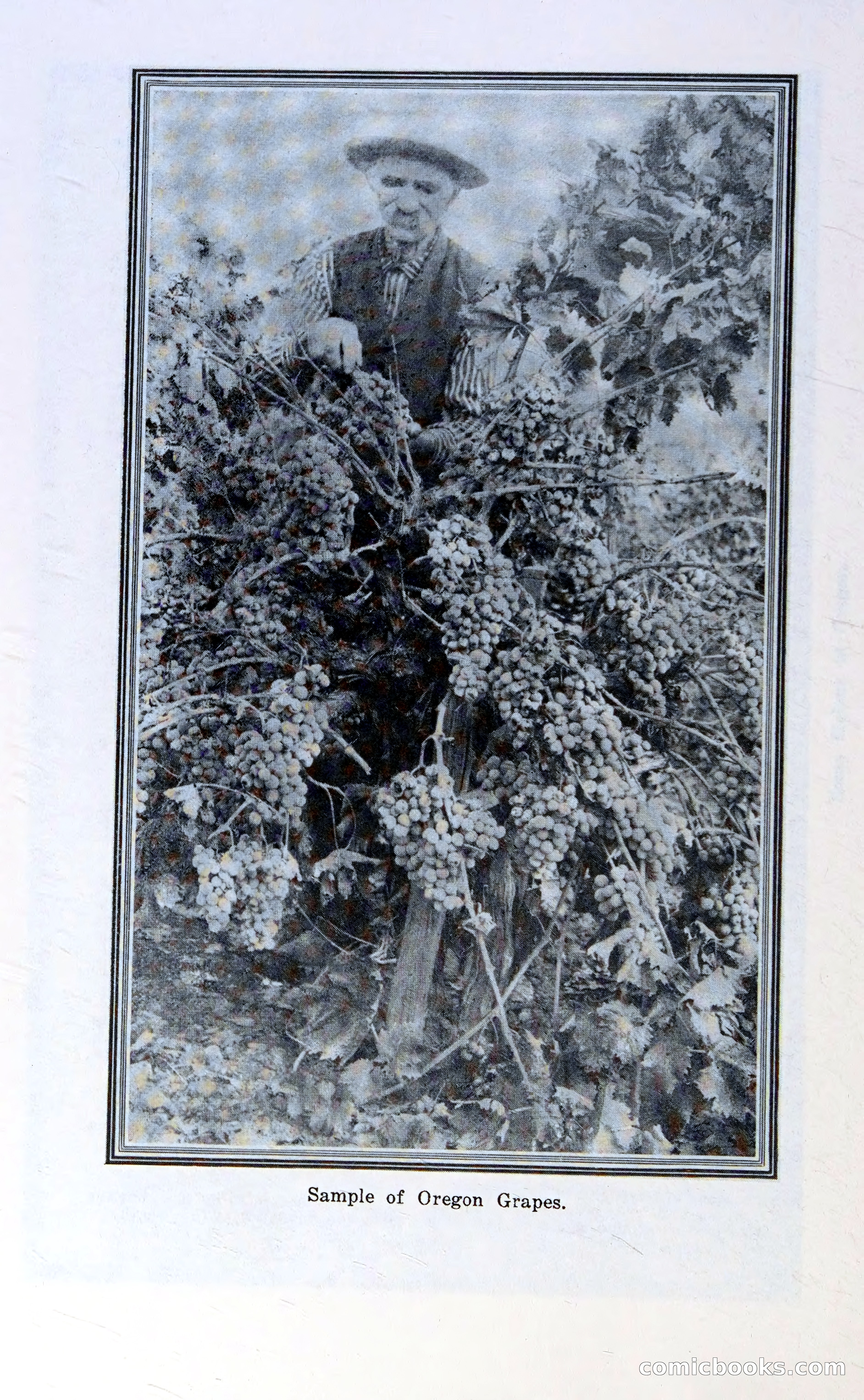 Oregon Blue Book, 1911 Commemorative Edition — page 67 of 141
