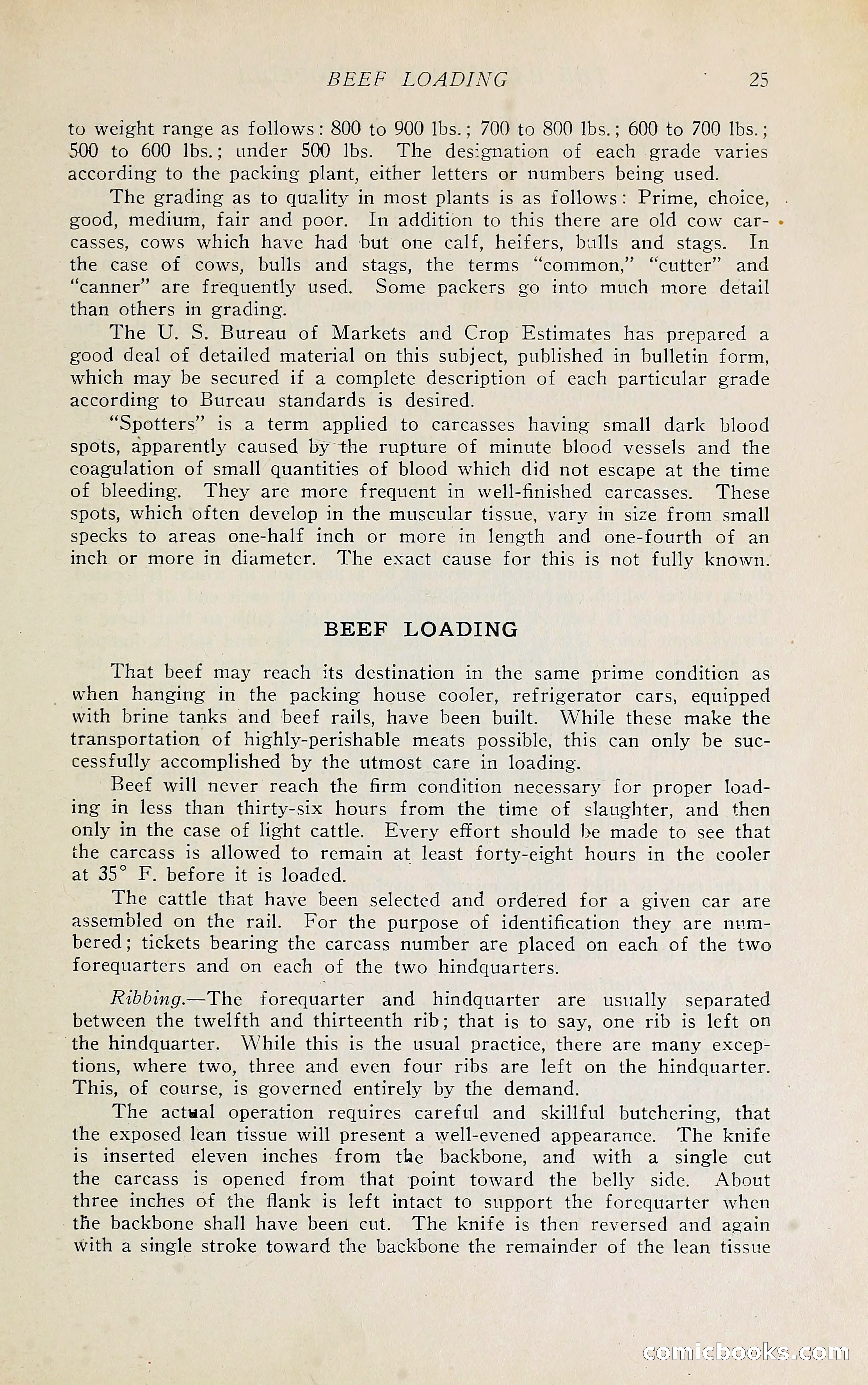 The Packers' Encyclopedia Blue Book — page 36 of 399