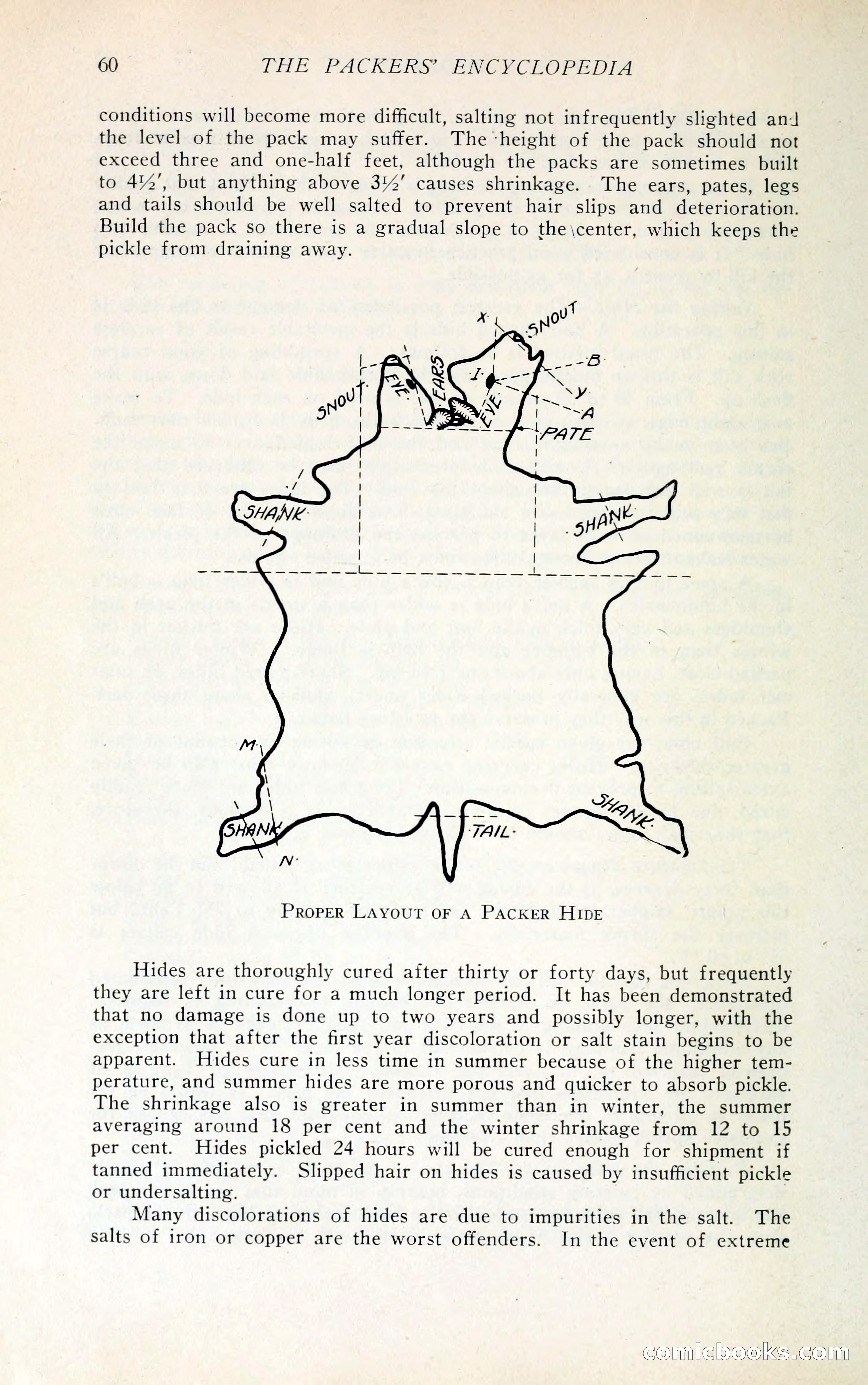 The Packers' Encyclopedia Blue Book — page 71 of 399