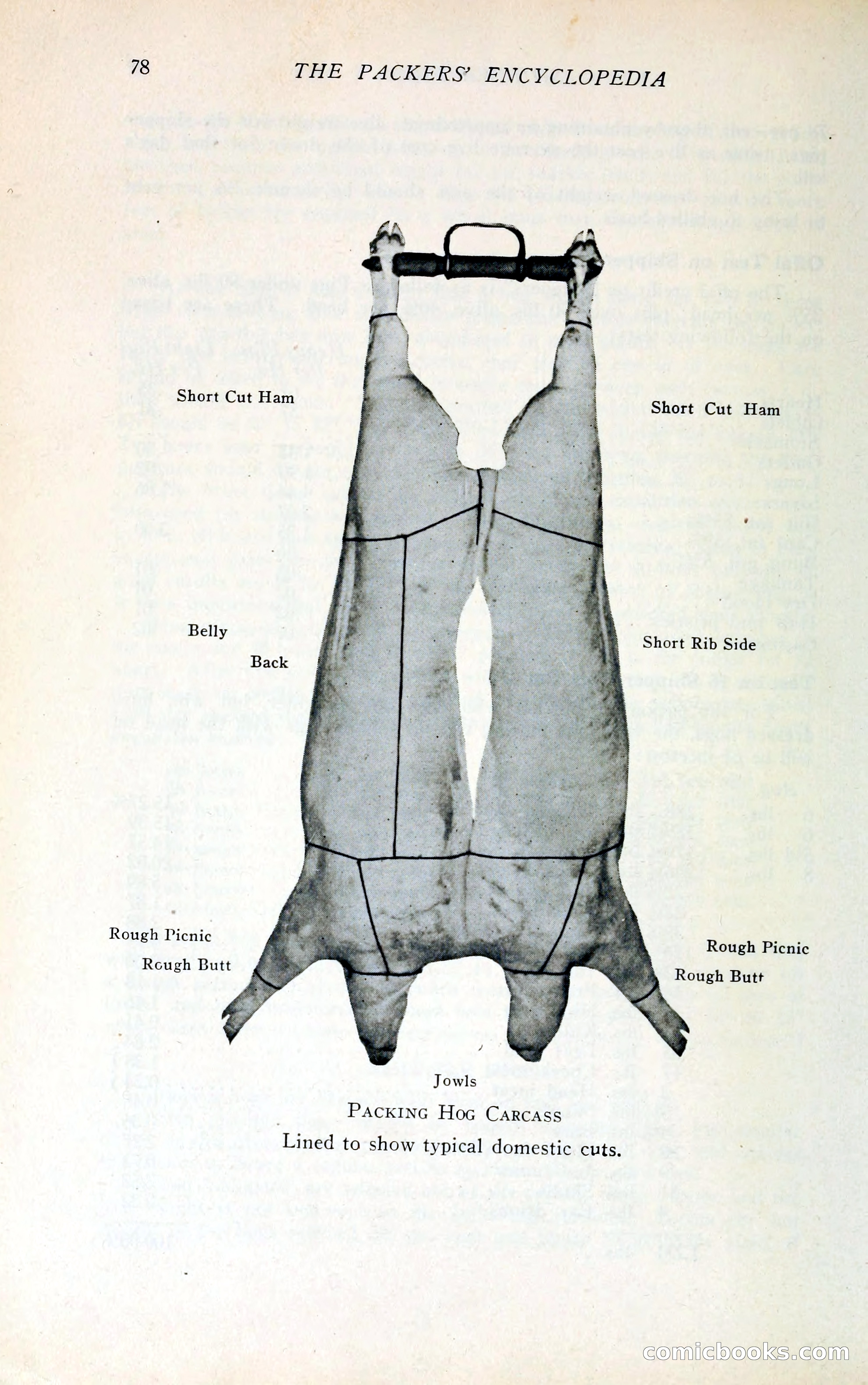 The Packers' Encyclopedia Blue Book — page 89 of 399