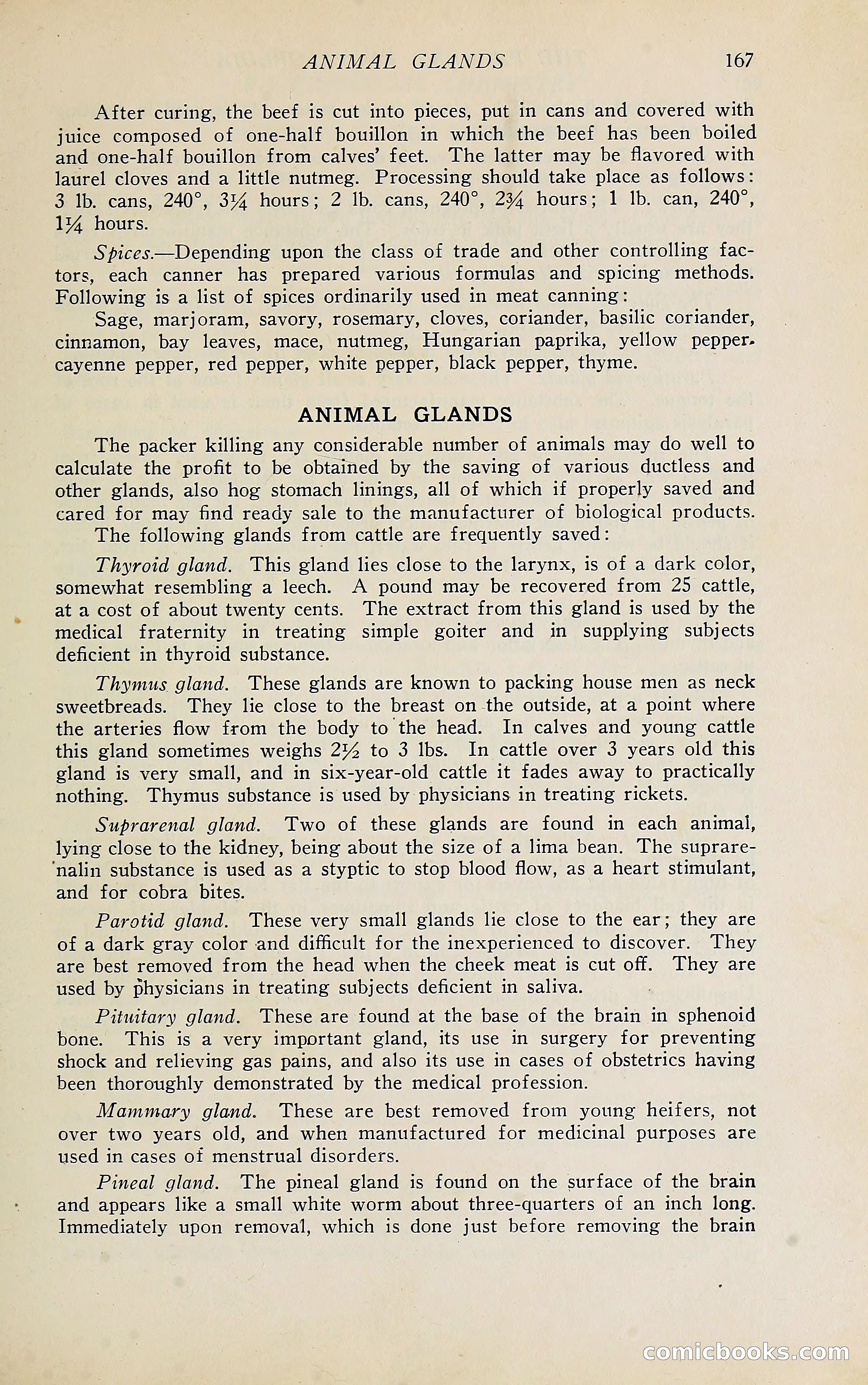 The Packers' Encyclopedia Blue Book — page 178 of 399