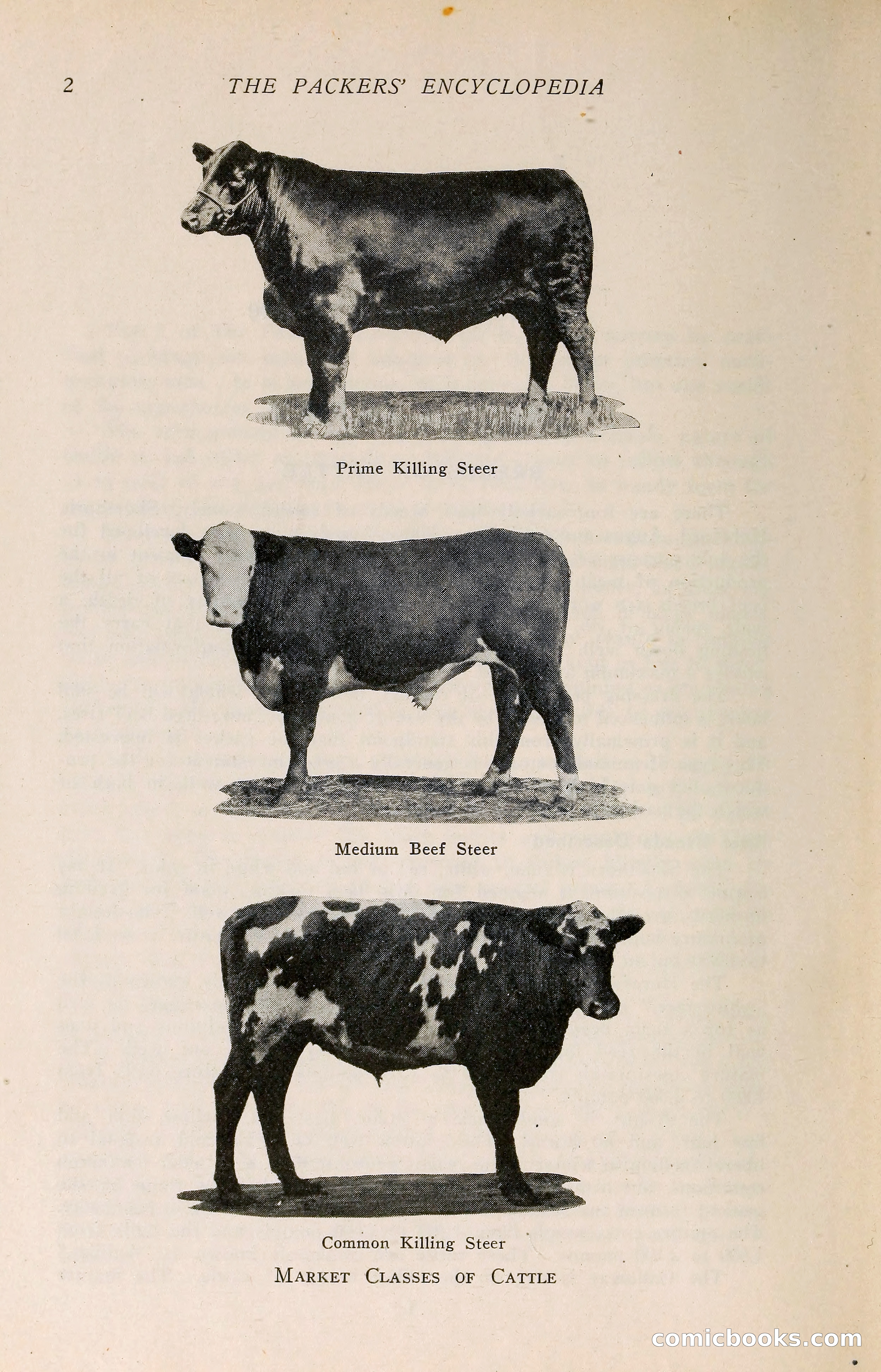 The Packers' Encyclopedia: Blue Book of the American Meat Packing and Allied Industries — page 17 of 399