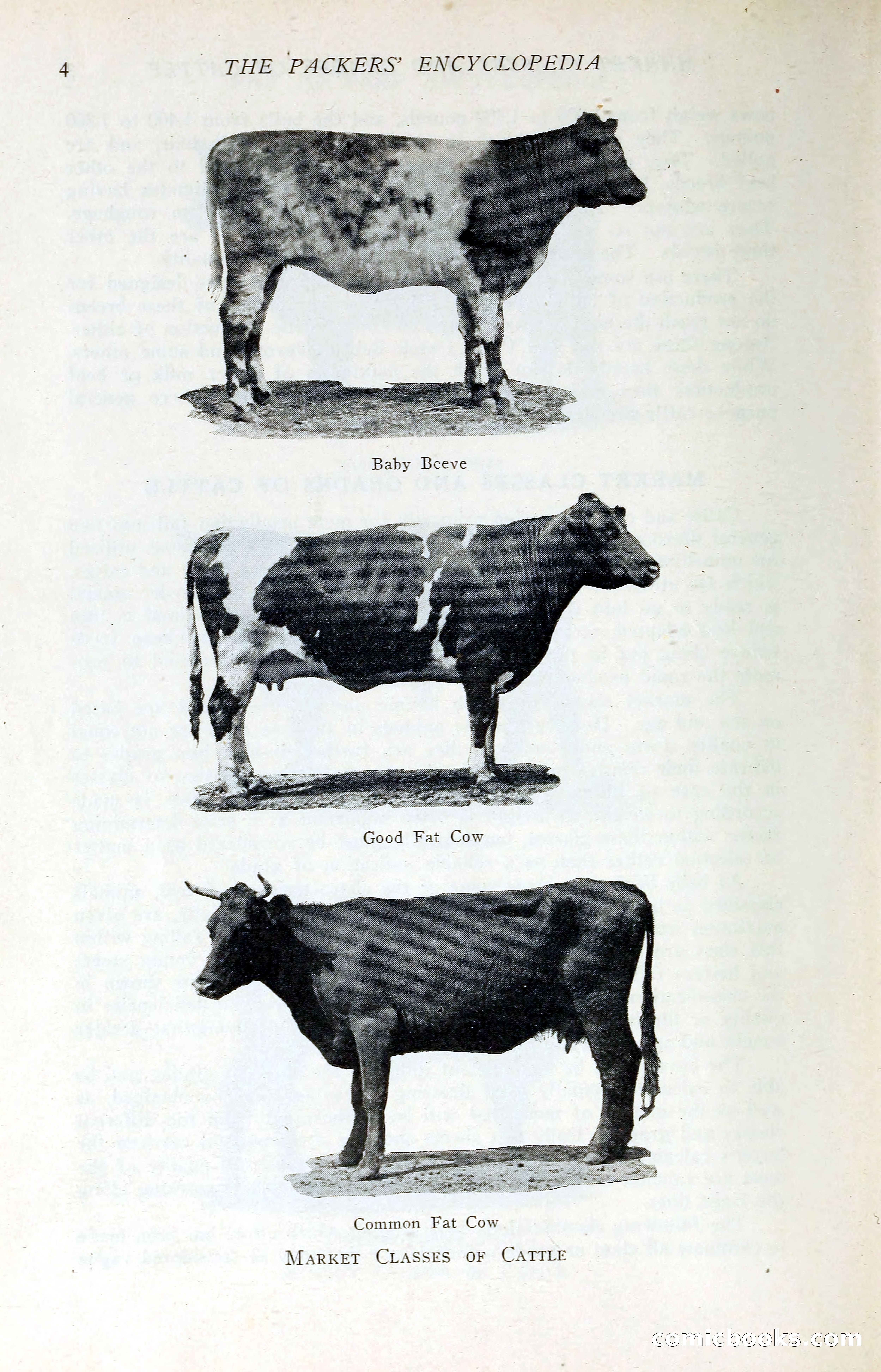 The Packers' Encyclopedia: Blue Book of the American Meat Packing and Allied Industries — page 19 of 399