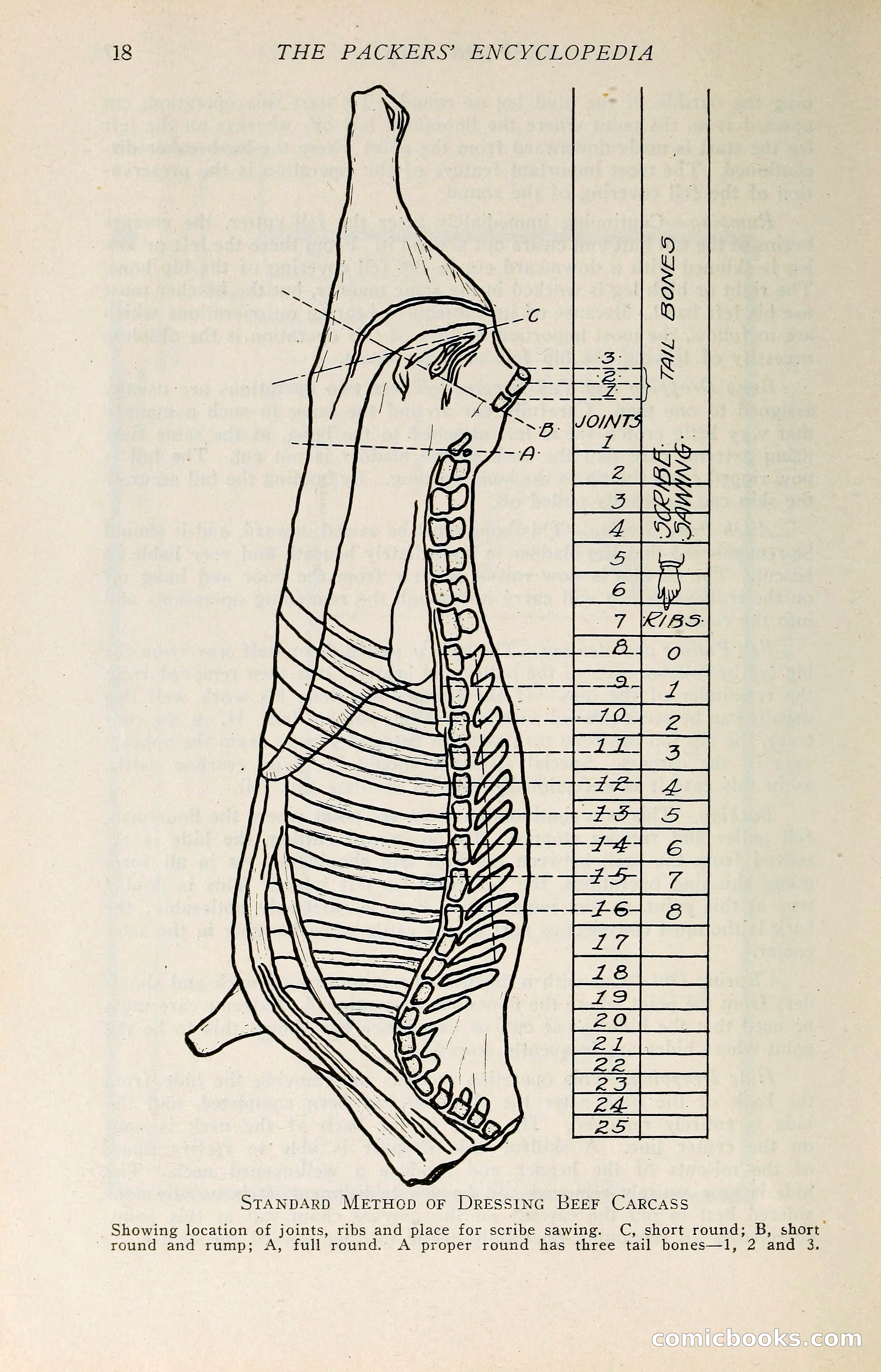 The Packers' Encyclopedia: Blue Book of the American Meat Packing and Allied Industries — page 33 of 399