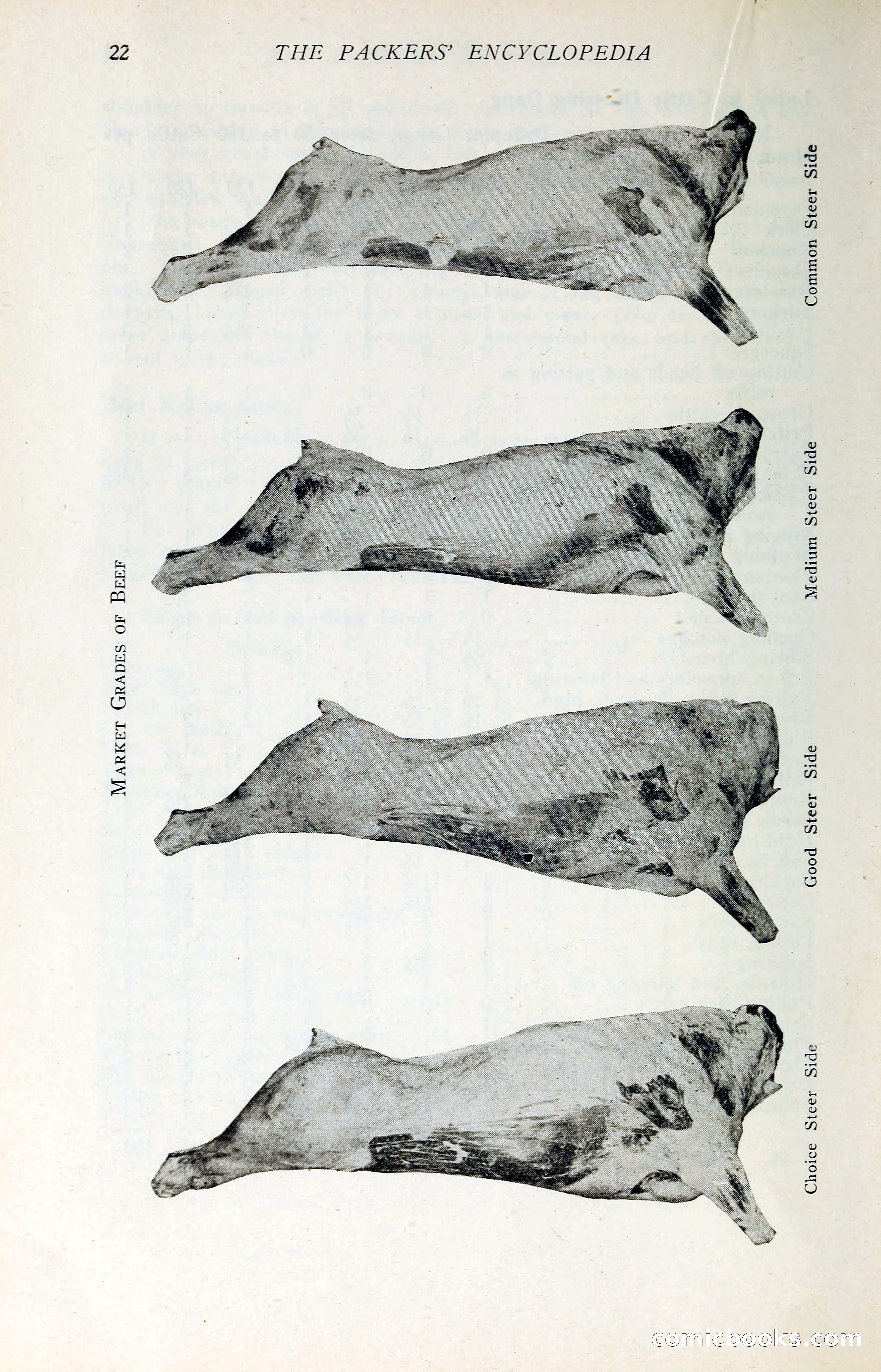 The Packers' Encyclopedia: Blue Book of the American Meat Packing and Allied Industries — page 37 of 399