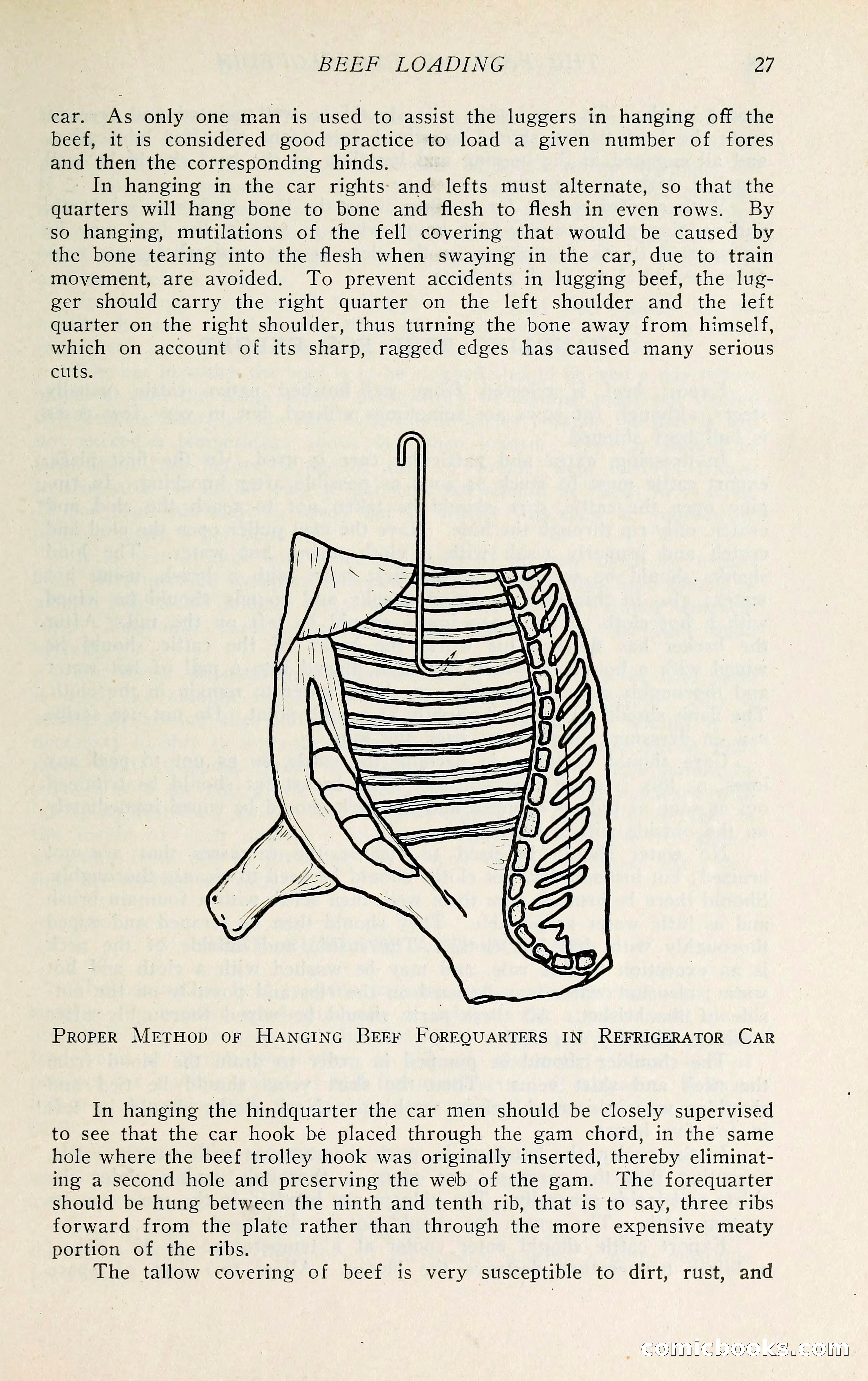 The Packers' Encyclopedia: Blue Book of the American Meat Packing and Allied Industries — page 42 of 399