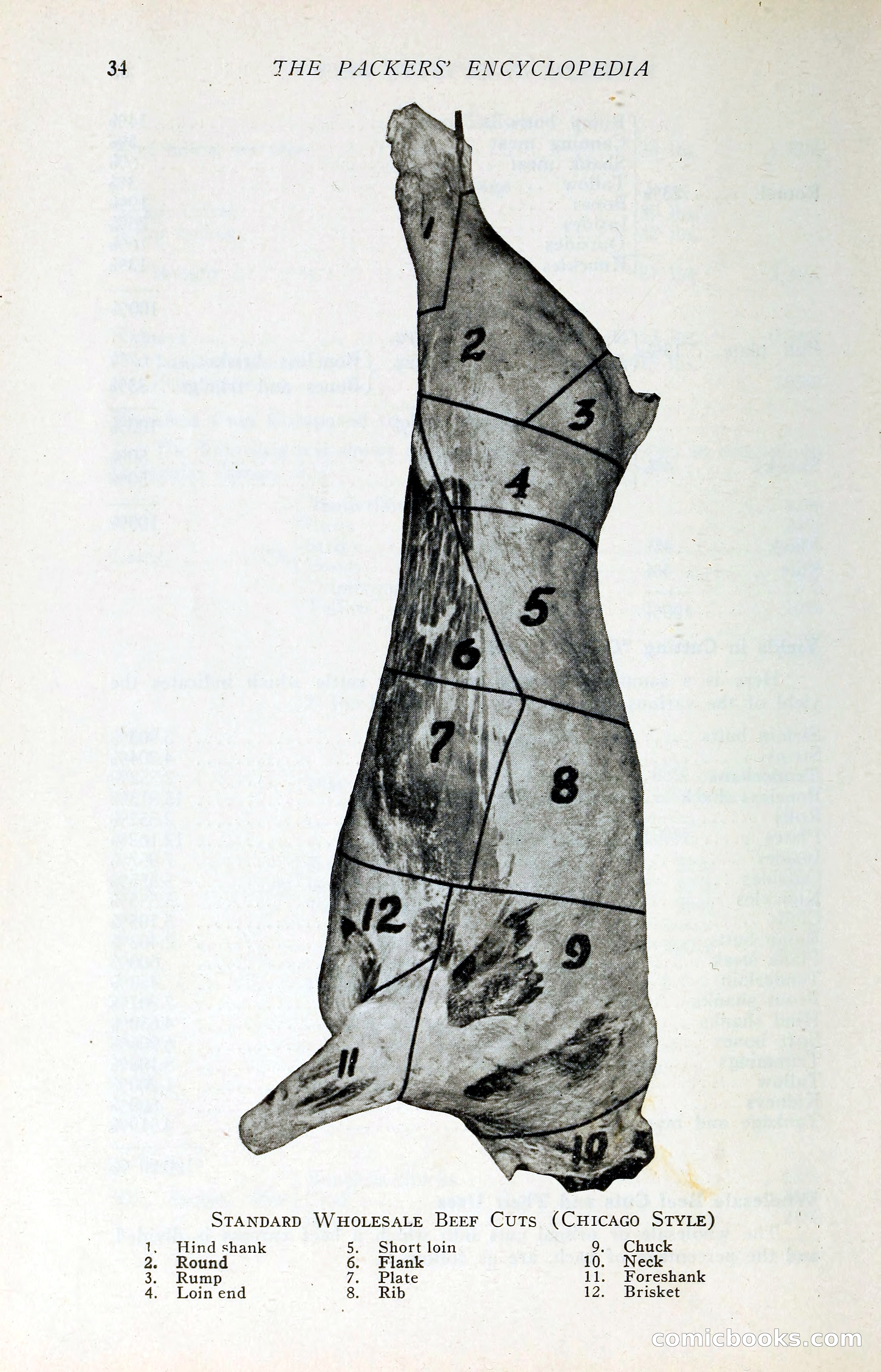 The Packers' Encyclopedia: Blue Book of the American Meat Packing and Allied Industries — page 49 of 399