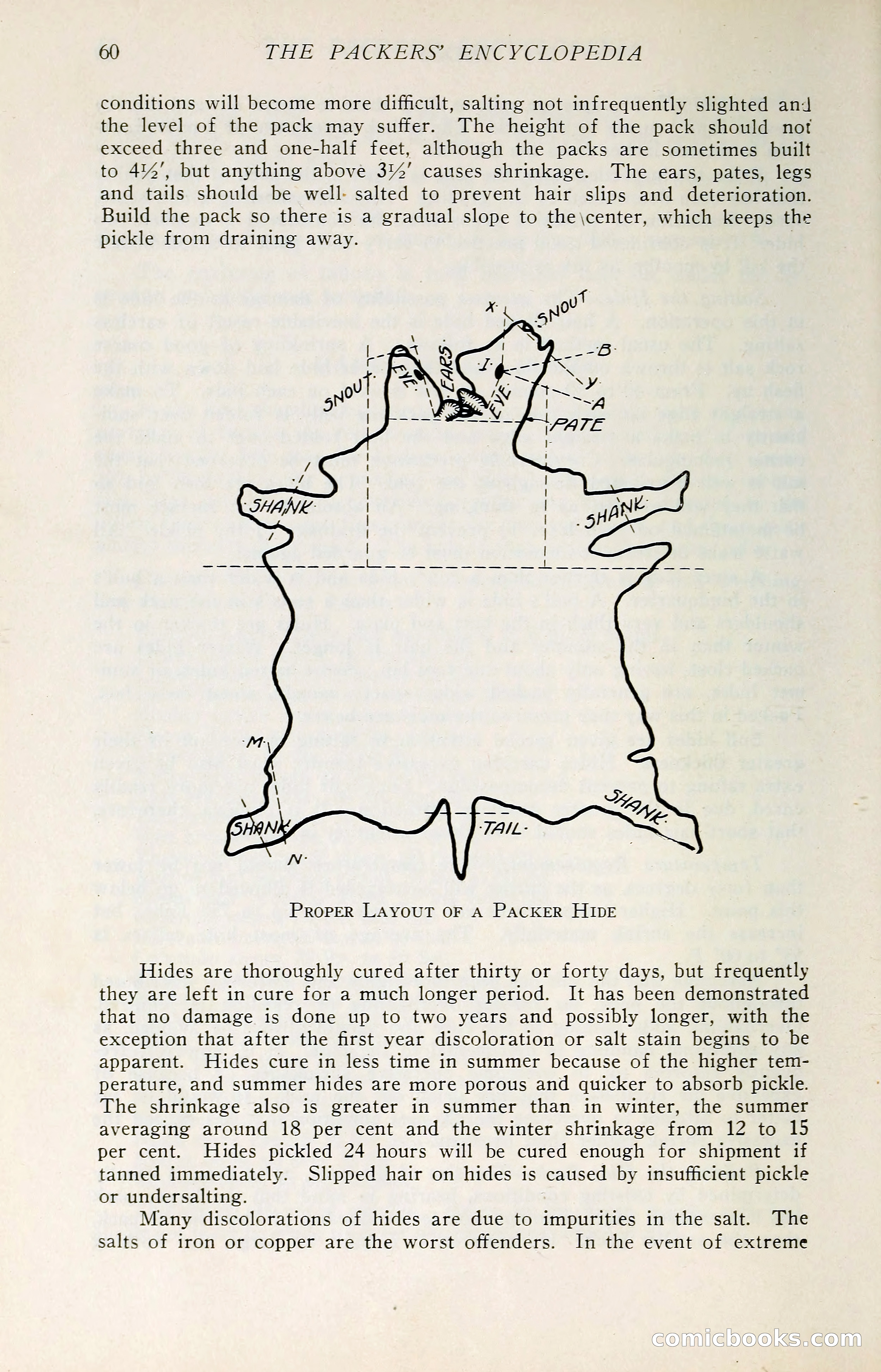 The Packers' Encyclopedia: Blue Book of the American Meat Packing and Allied Industries — page 75 of 399