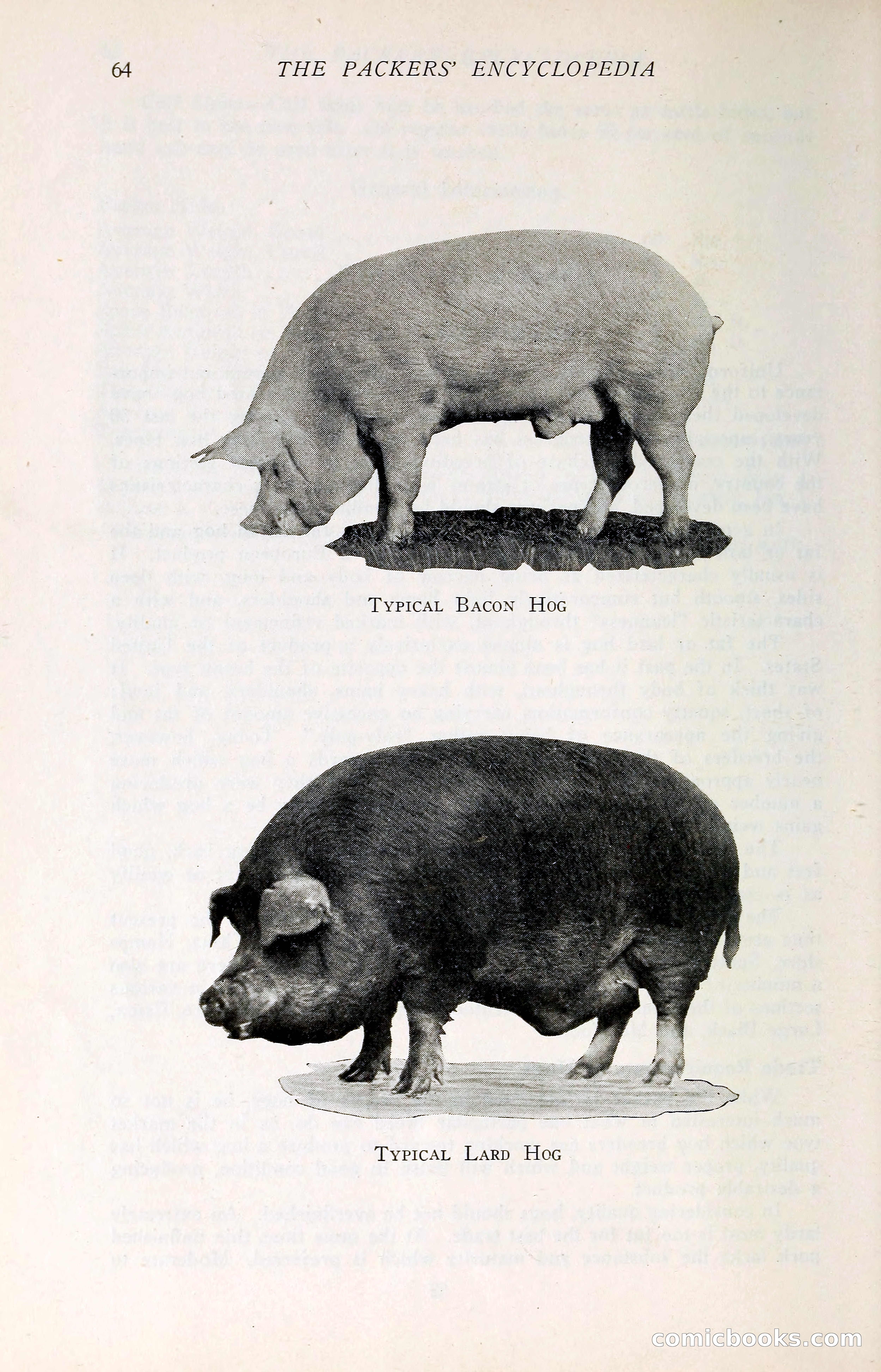 The Packers' Encyclopedia: Blue Book of the American Meat Packing and Allied Industries — page 79 of 399