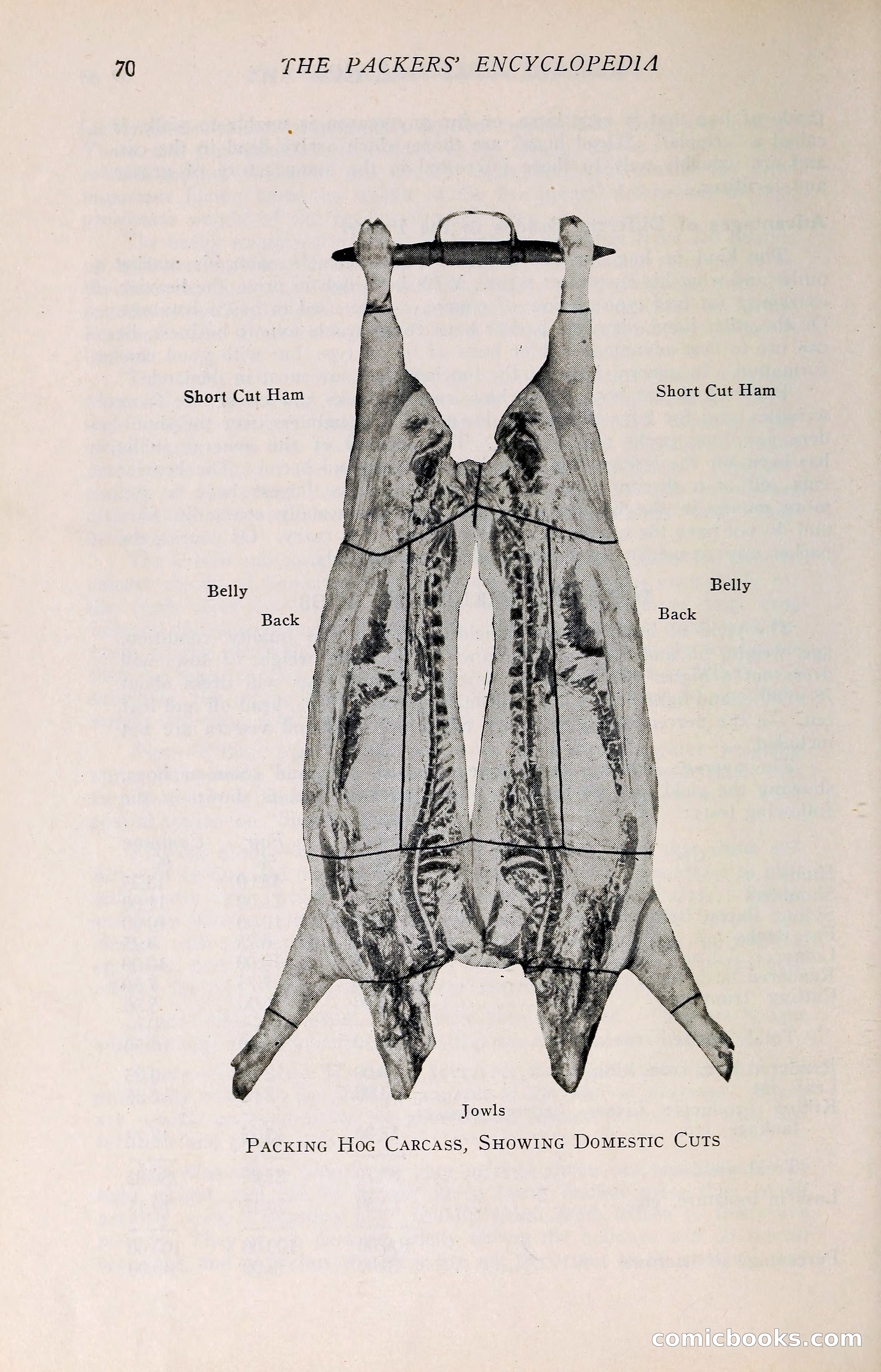 The Packers' Encyclopedia: Blue Book of the American Meat Packing and Allied Industries — page 85 of 399