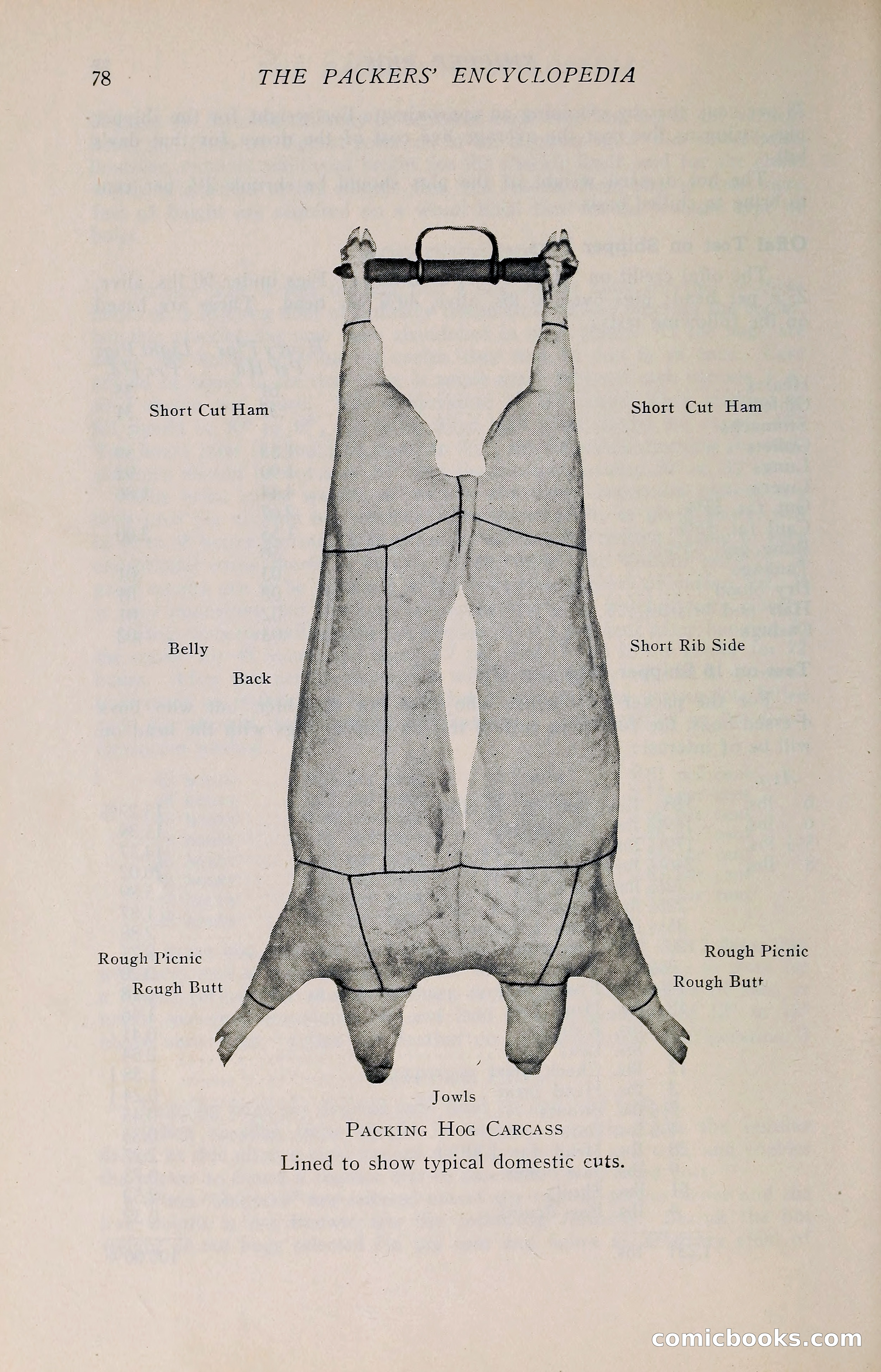 The Packers' Encyclopedia: Blue Book of the American Meat Packing and Allied Industries — page 93 of 399