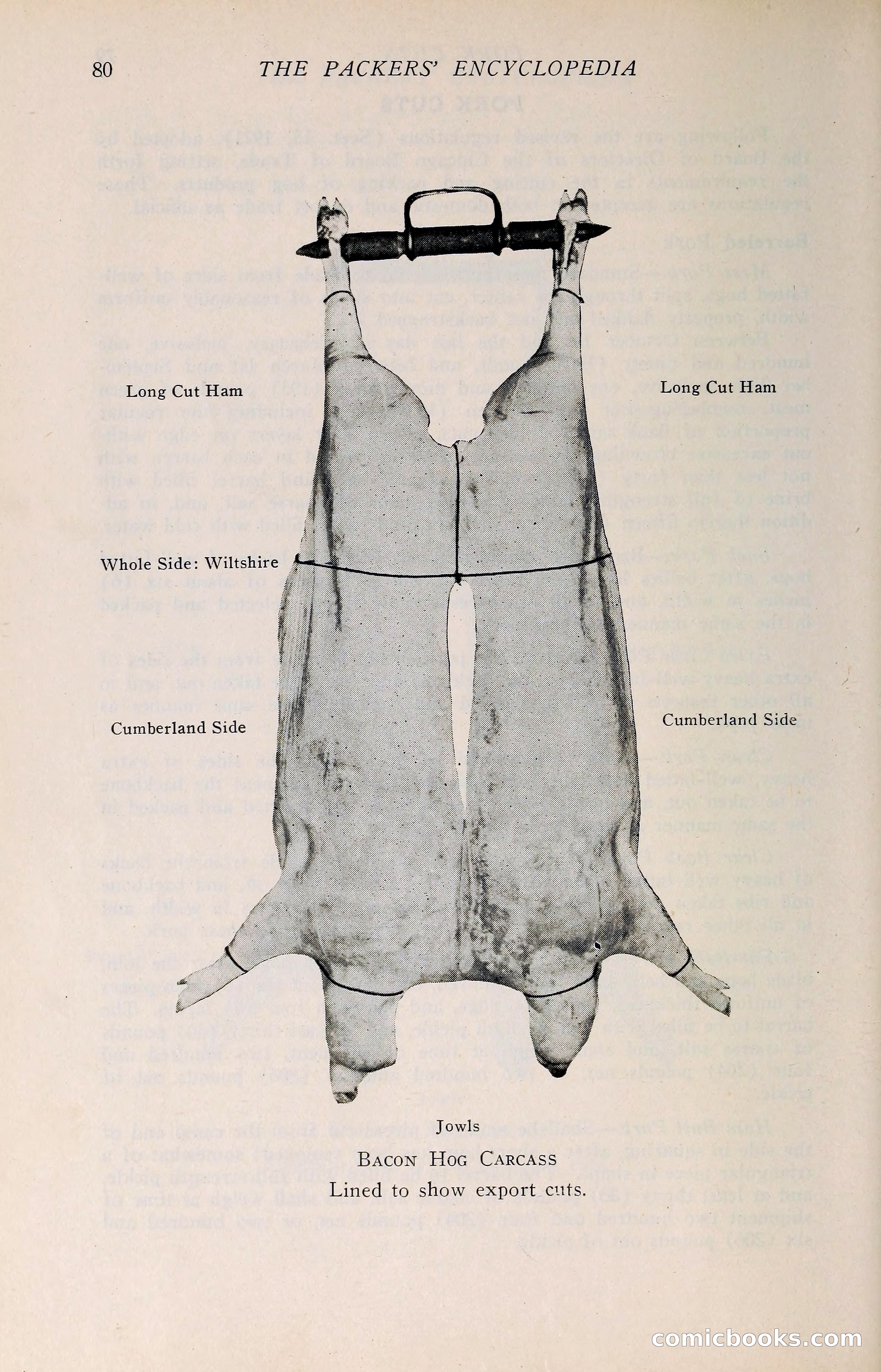 The Packers' Encyclopedia: Blue Book of the American Meat Packing and Allied Industries — page 95 of 399