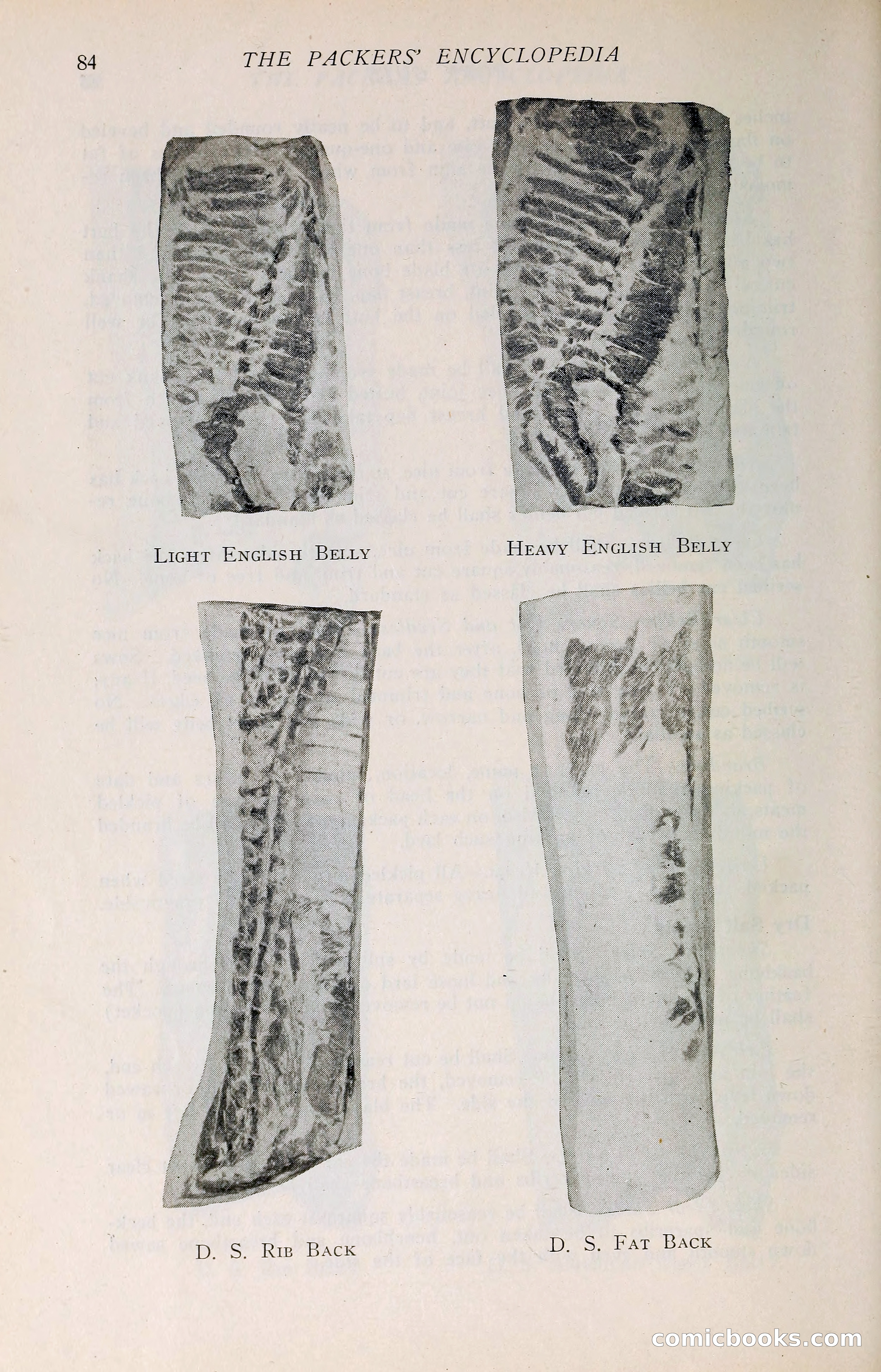 The Packers' Encyclopedia: Blue Book of the American Meat Packing and Allied Industries — page 99 of 399