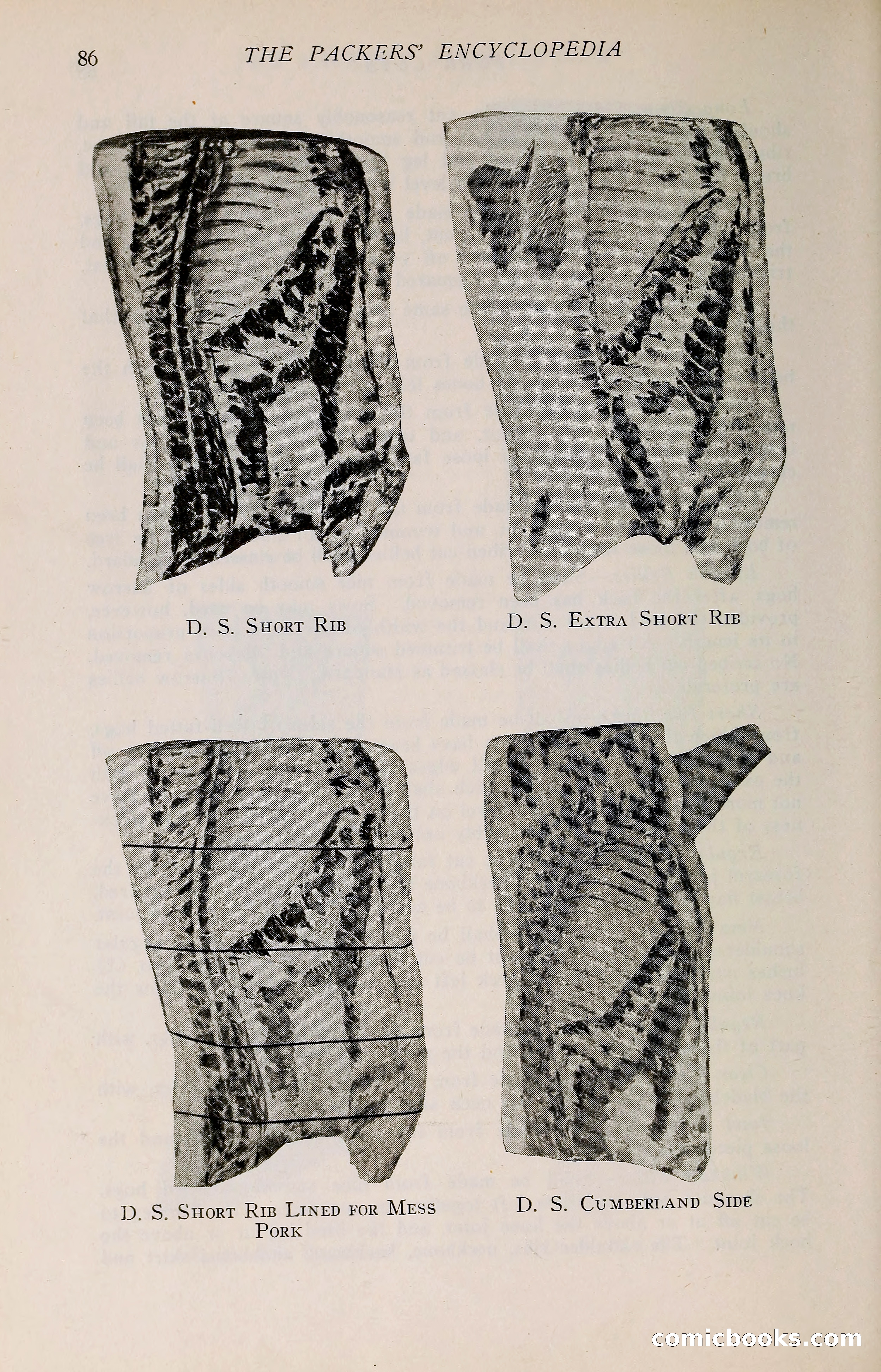 The Packers' Encyclopedia: Blue Book of the American Meat Packing and Allied Industries — page 101 of 399