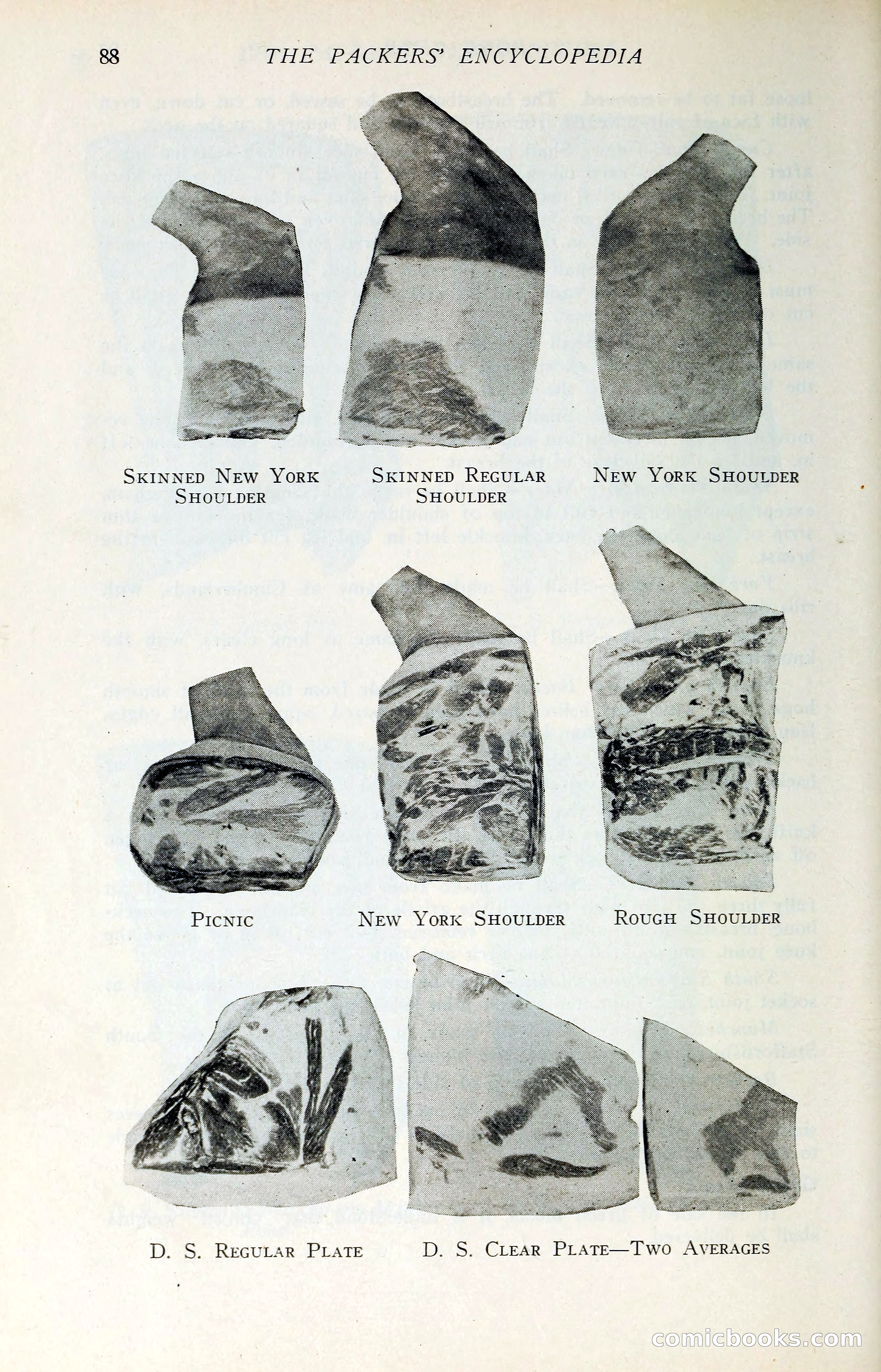 The Packers' Encyclopedia: Blue Book of the American Meat Packing and Allied Industries — page 103 of 399