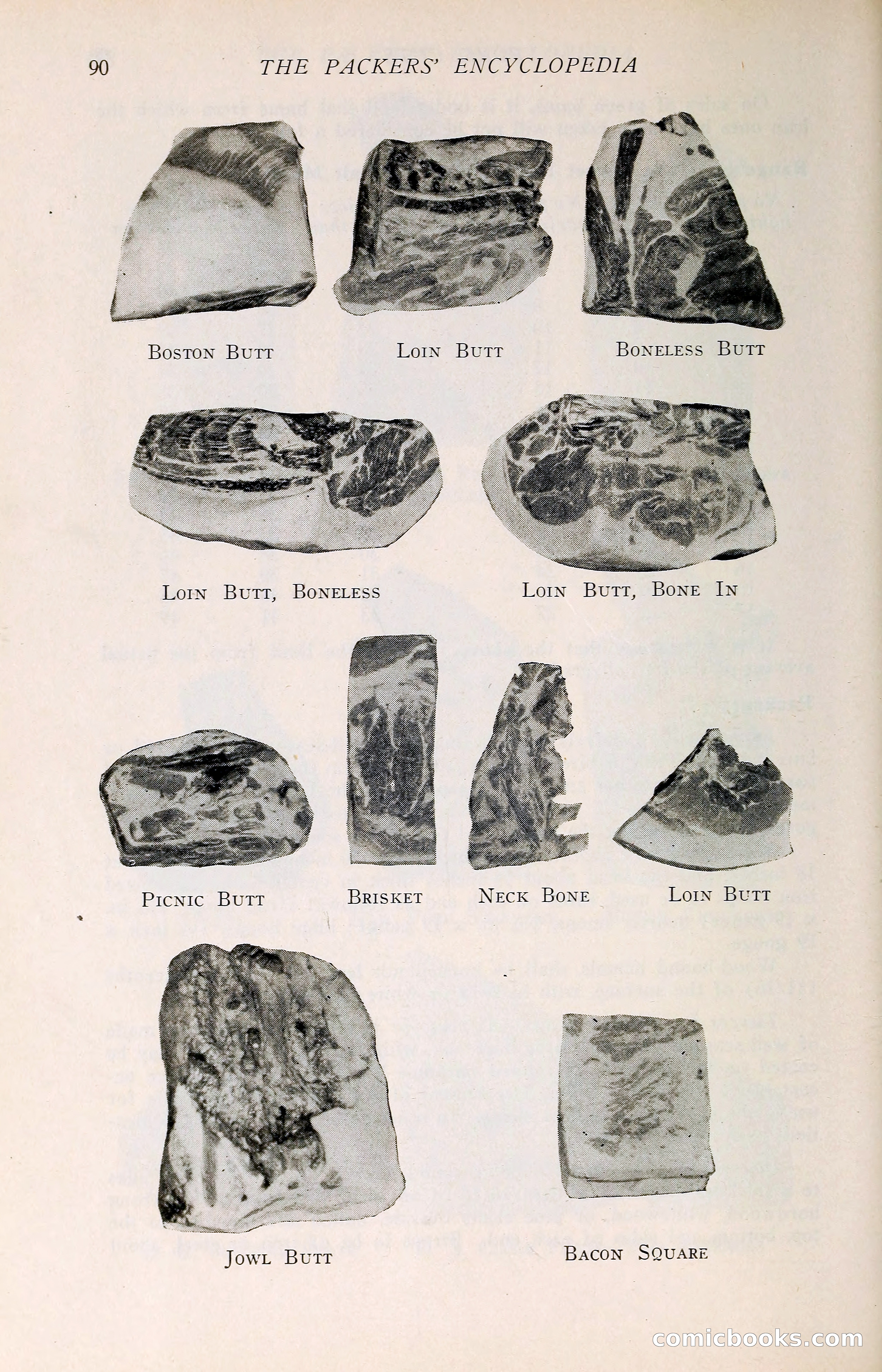 The Packers' Encyclopedia: Blue Book of the American Meat Packing and Allied Industries — page 105 of 399