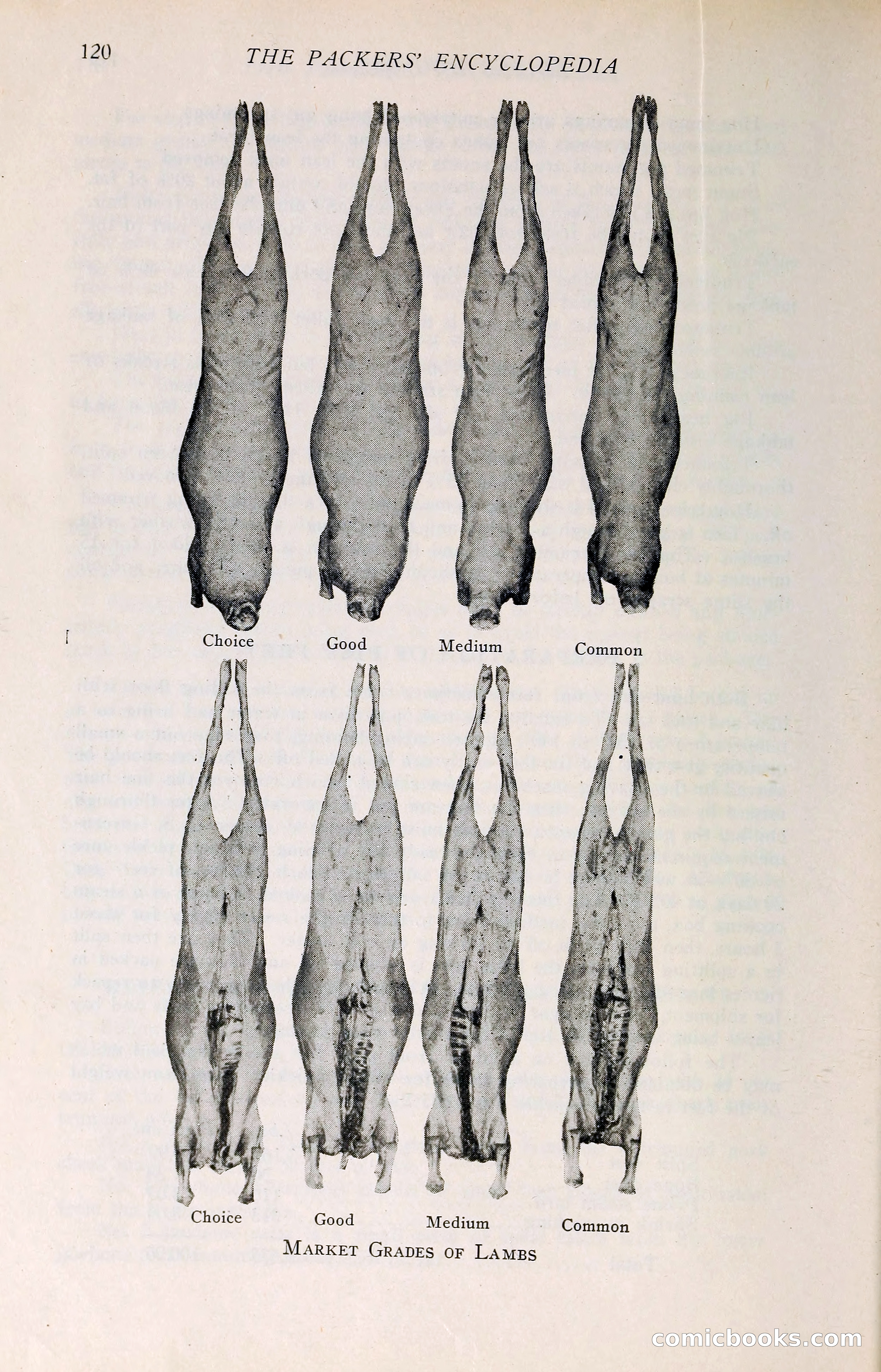 The Packers' Encyclopedia: Blue Book of the American Meat Packing and Allied Industries — page 135 of 399