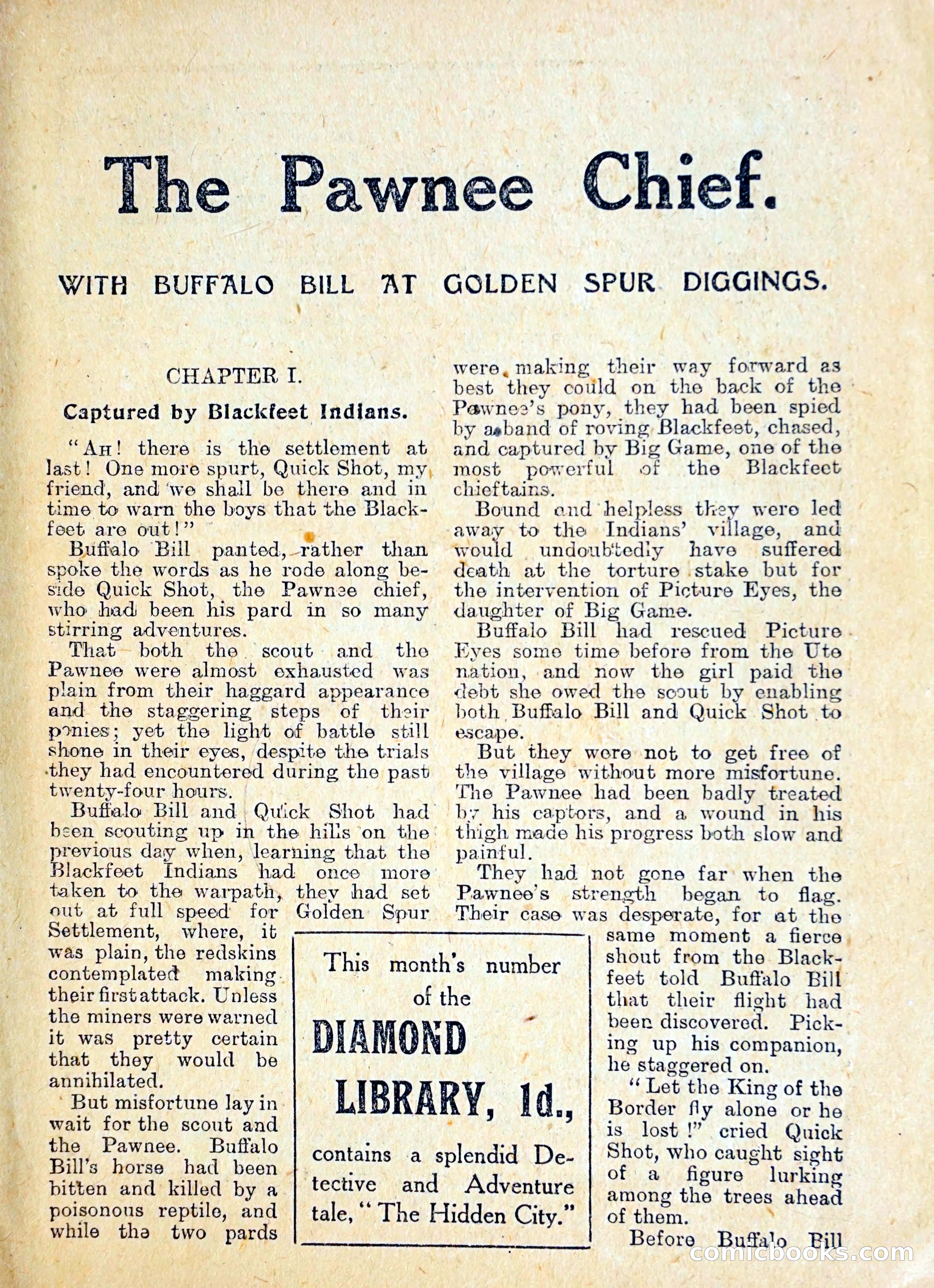 The Pawnee Chief — page 4 of 37