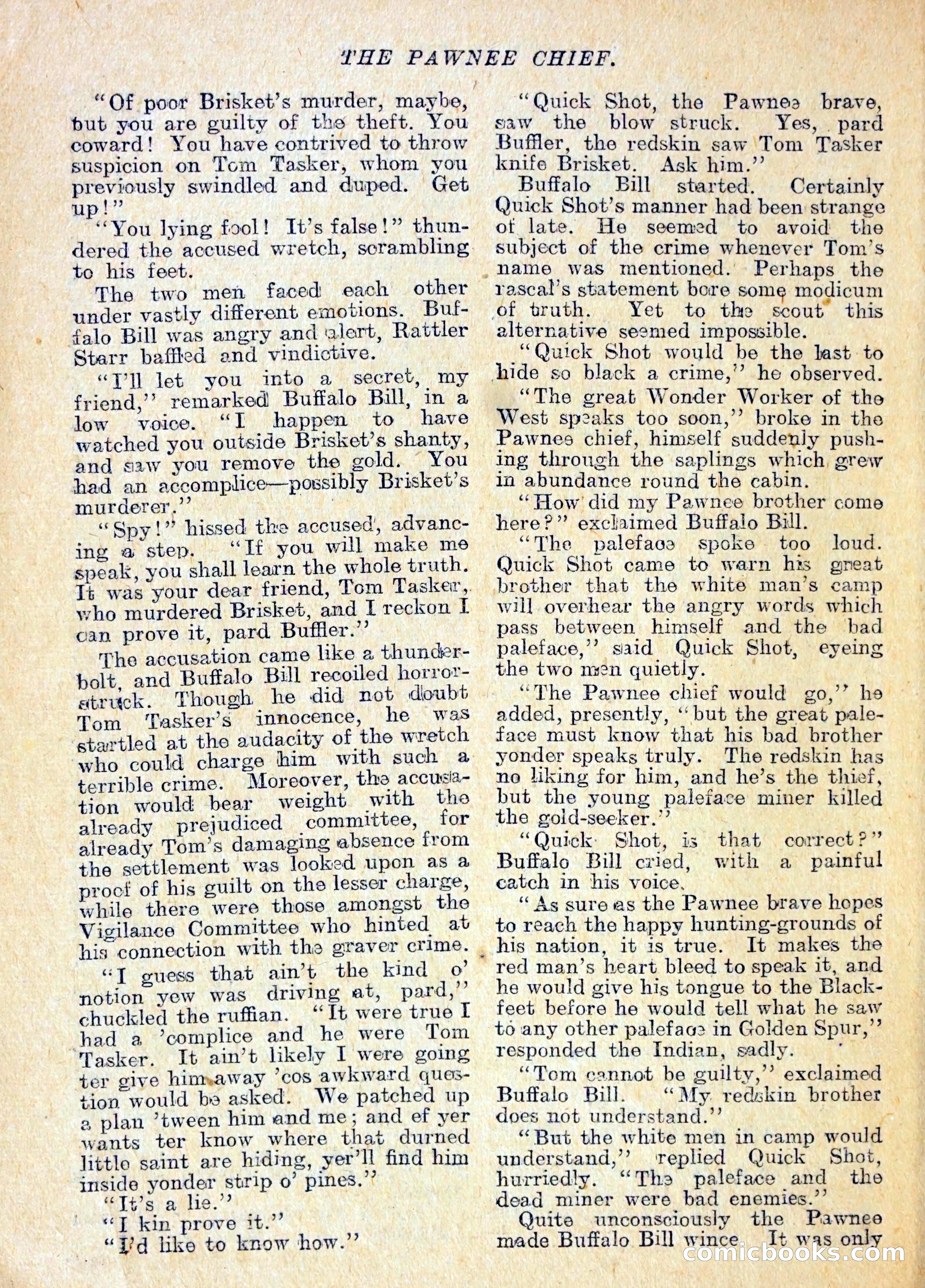 The Pawnee Chief — page 7 of 37