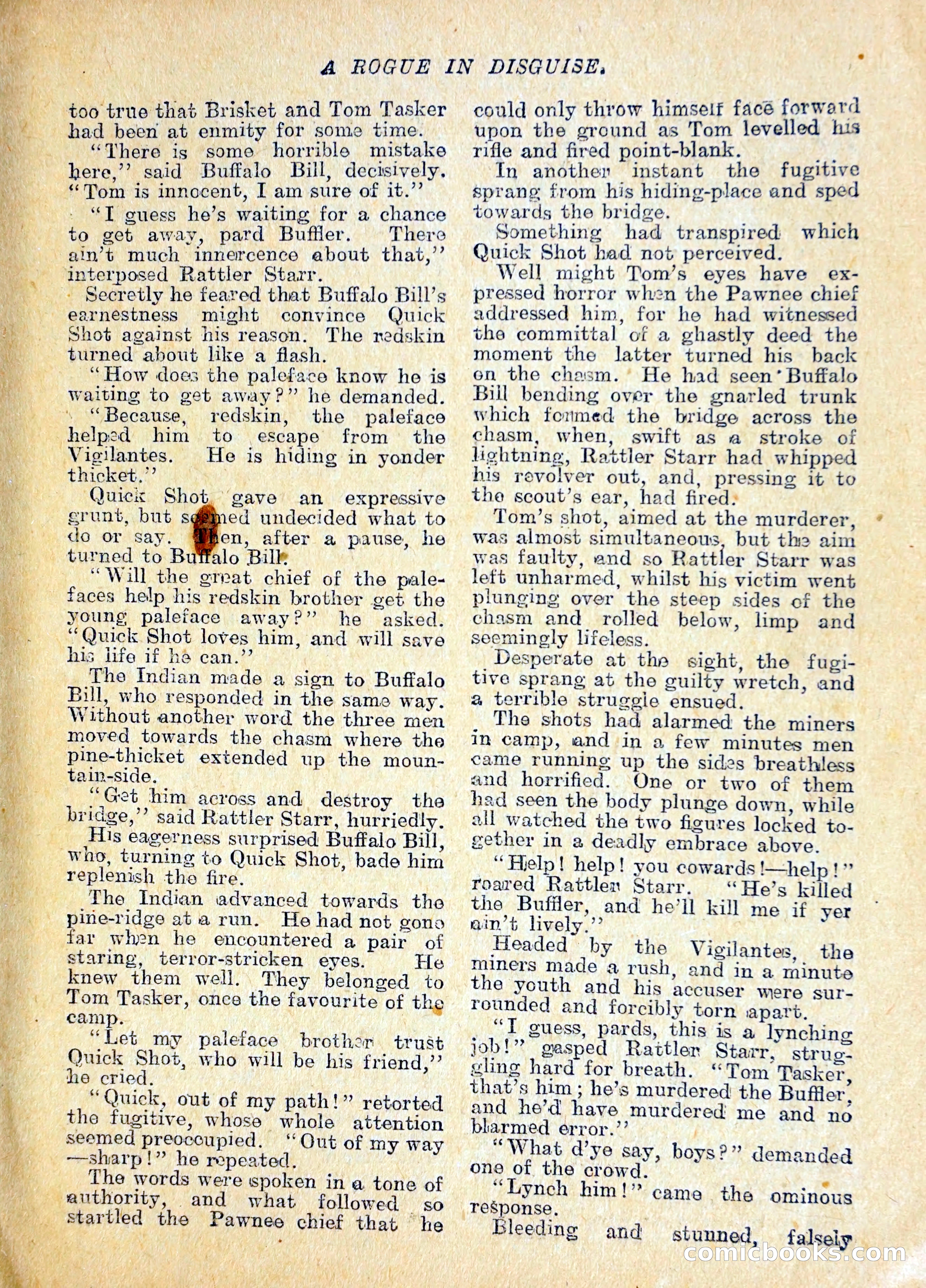 The Pawnee Chief — page 8 of 37