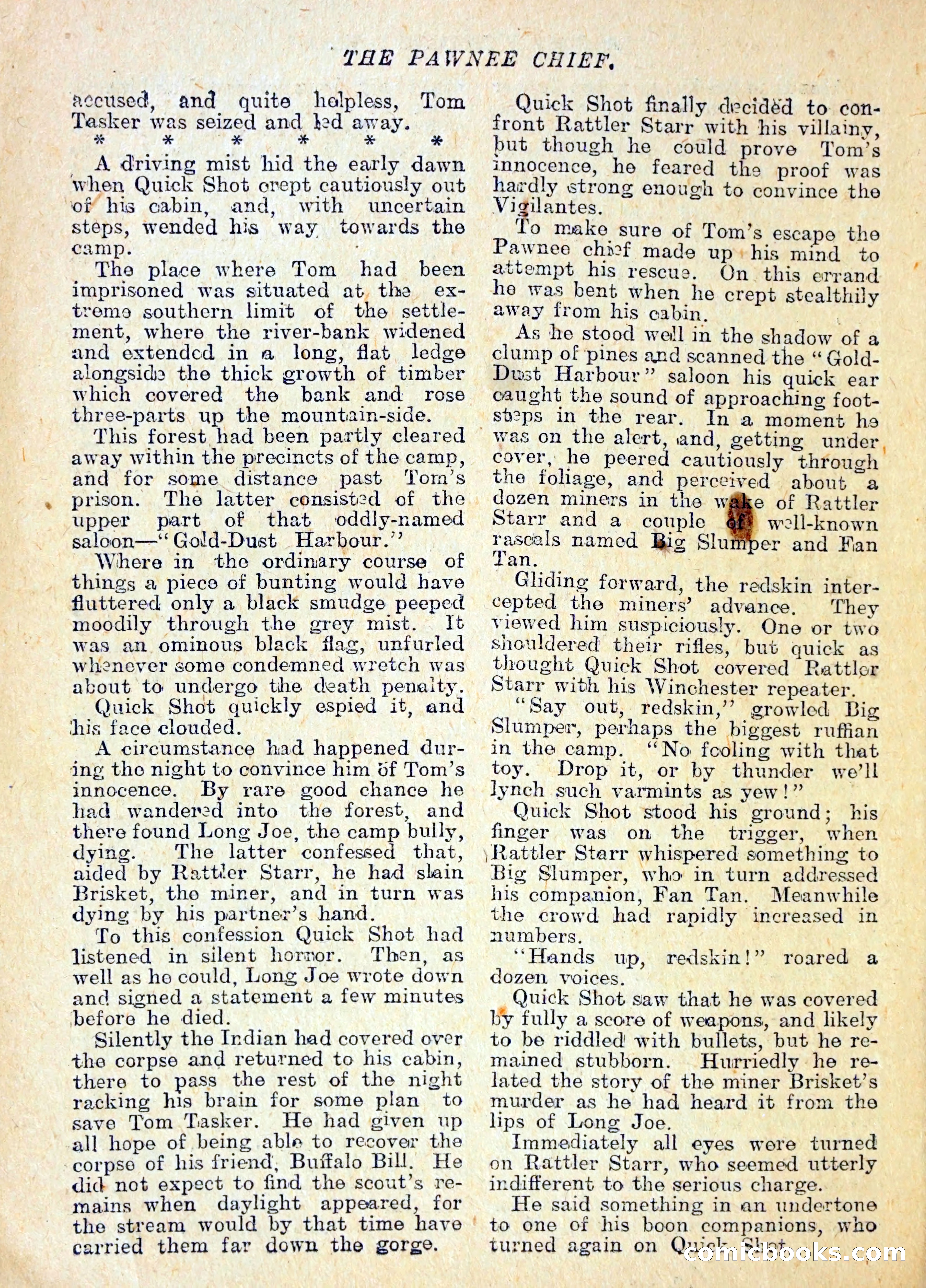 The Pawnee Chief — page 9 of 37