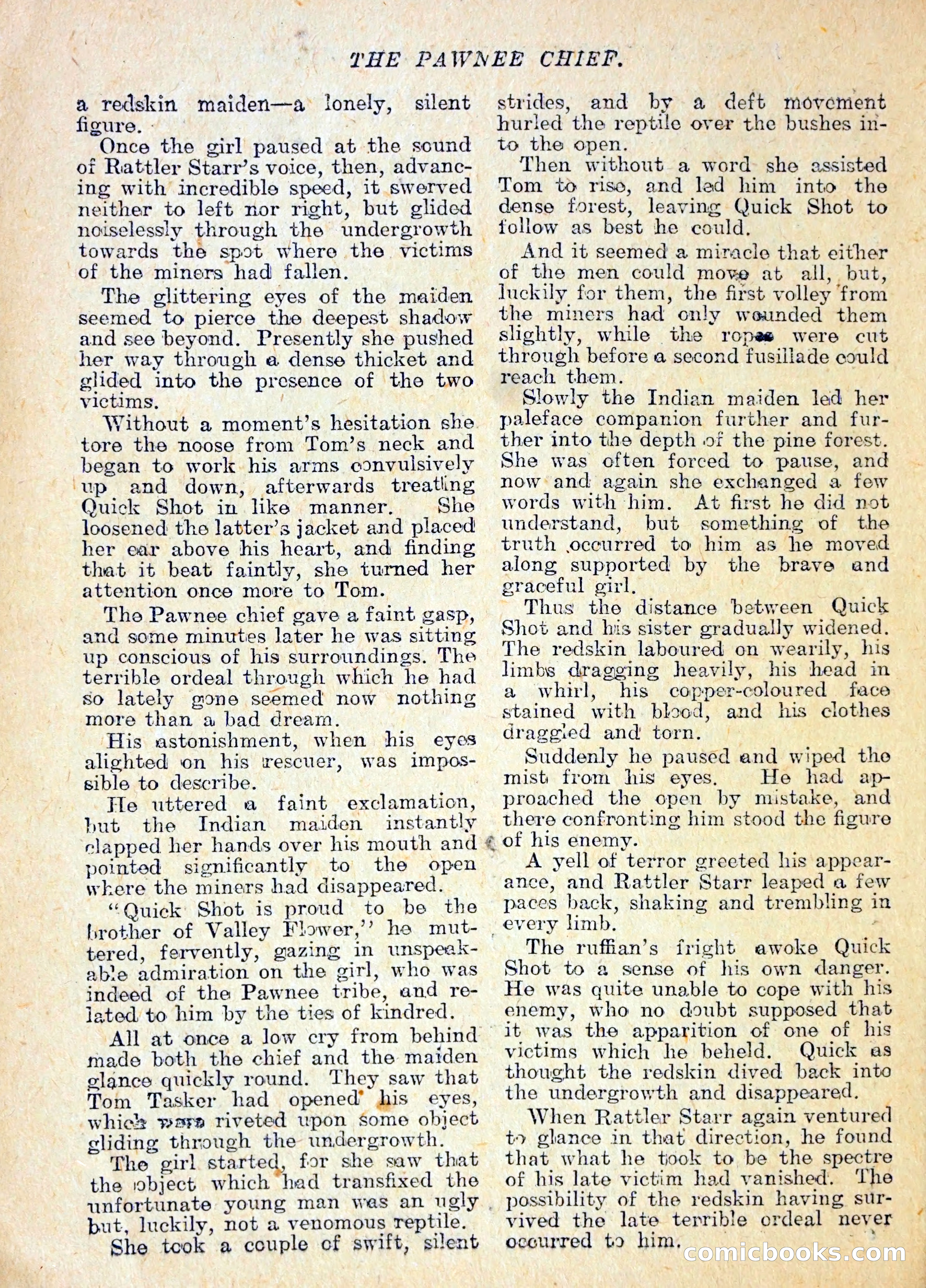 The Pawnee Chief — page 11 of 37