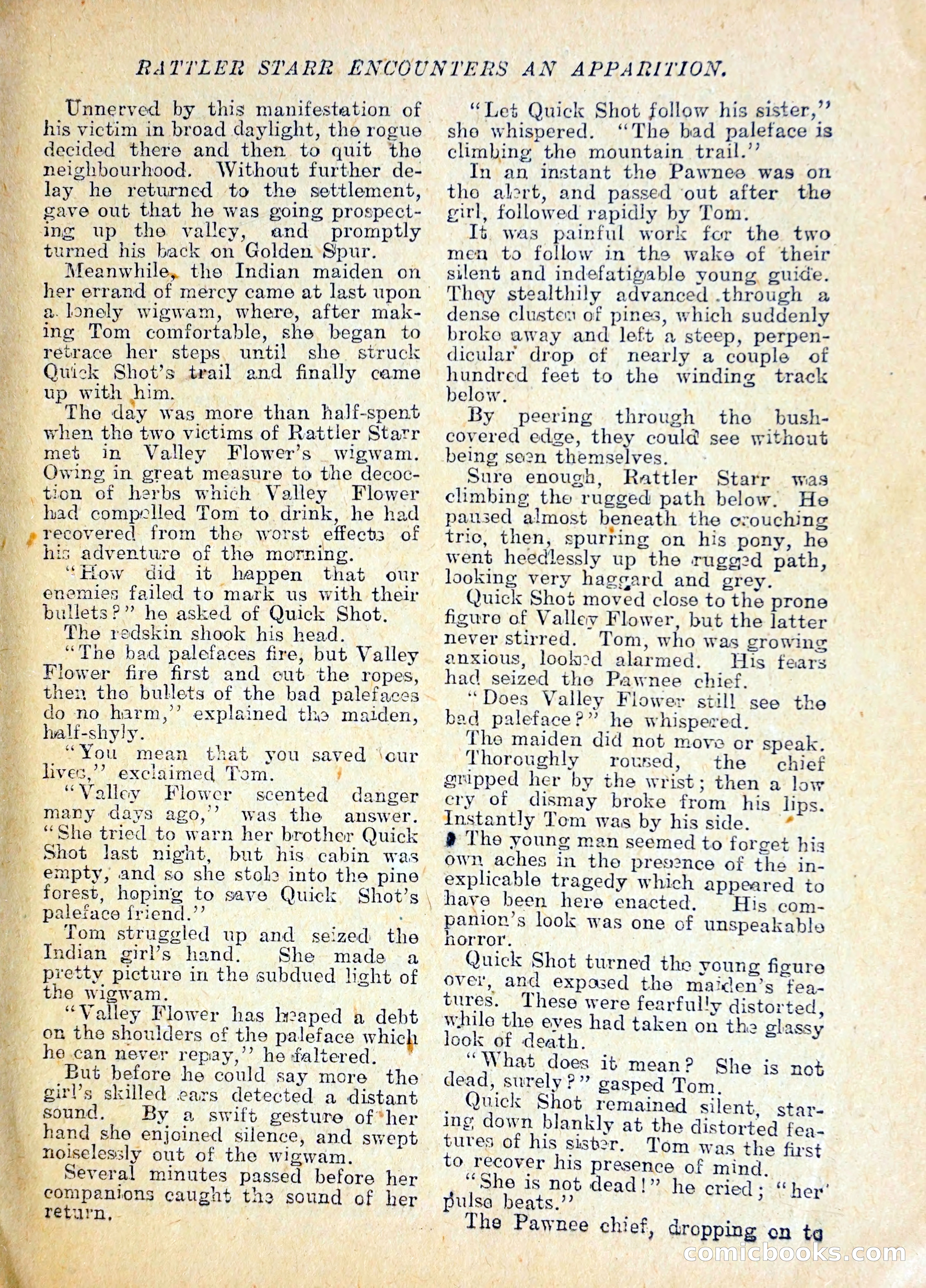 The Pawnee Chief — page 12 of 37
