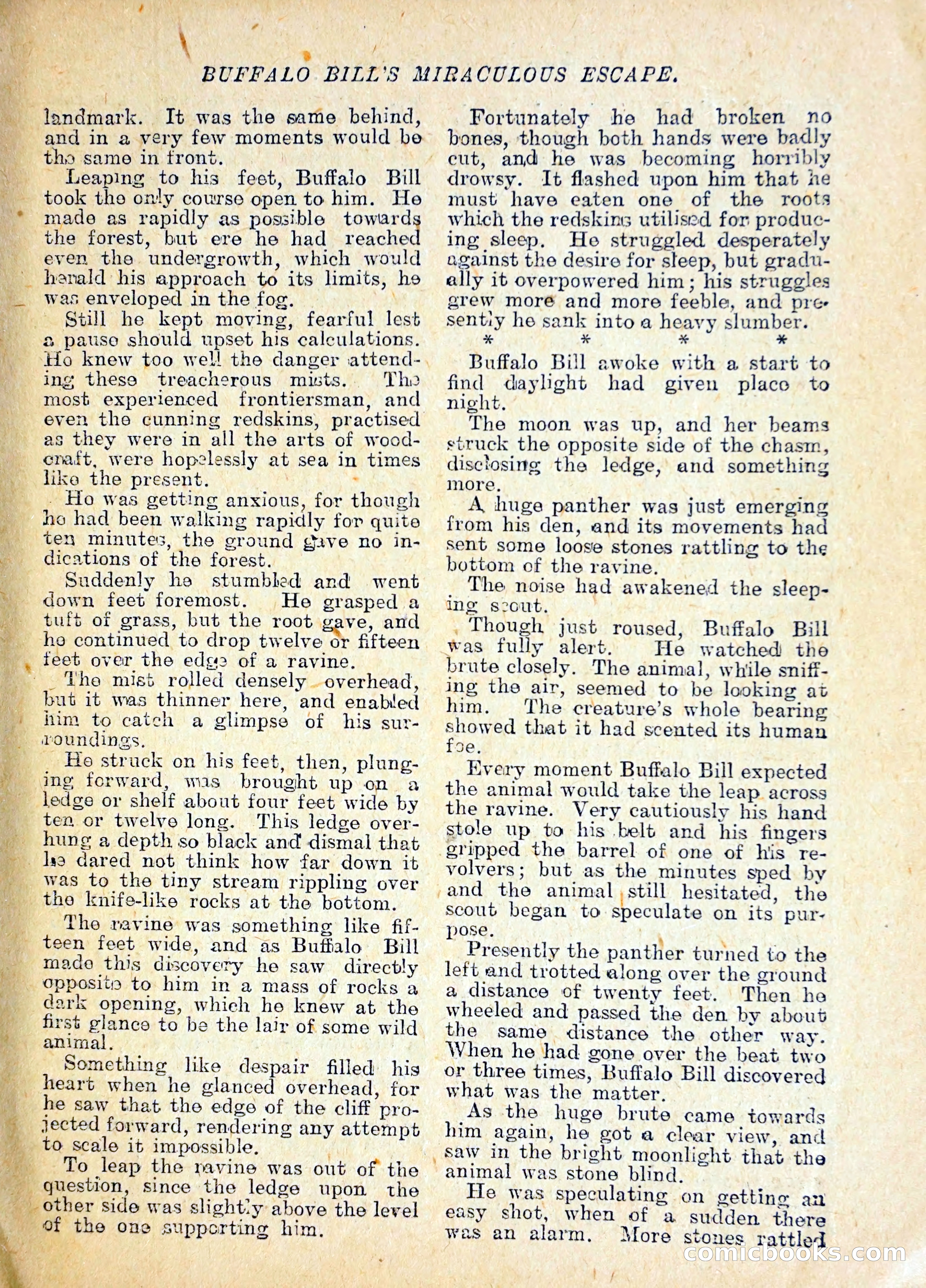The Pawnee Chief — page 14 of 37