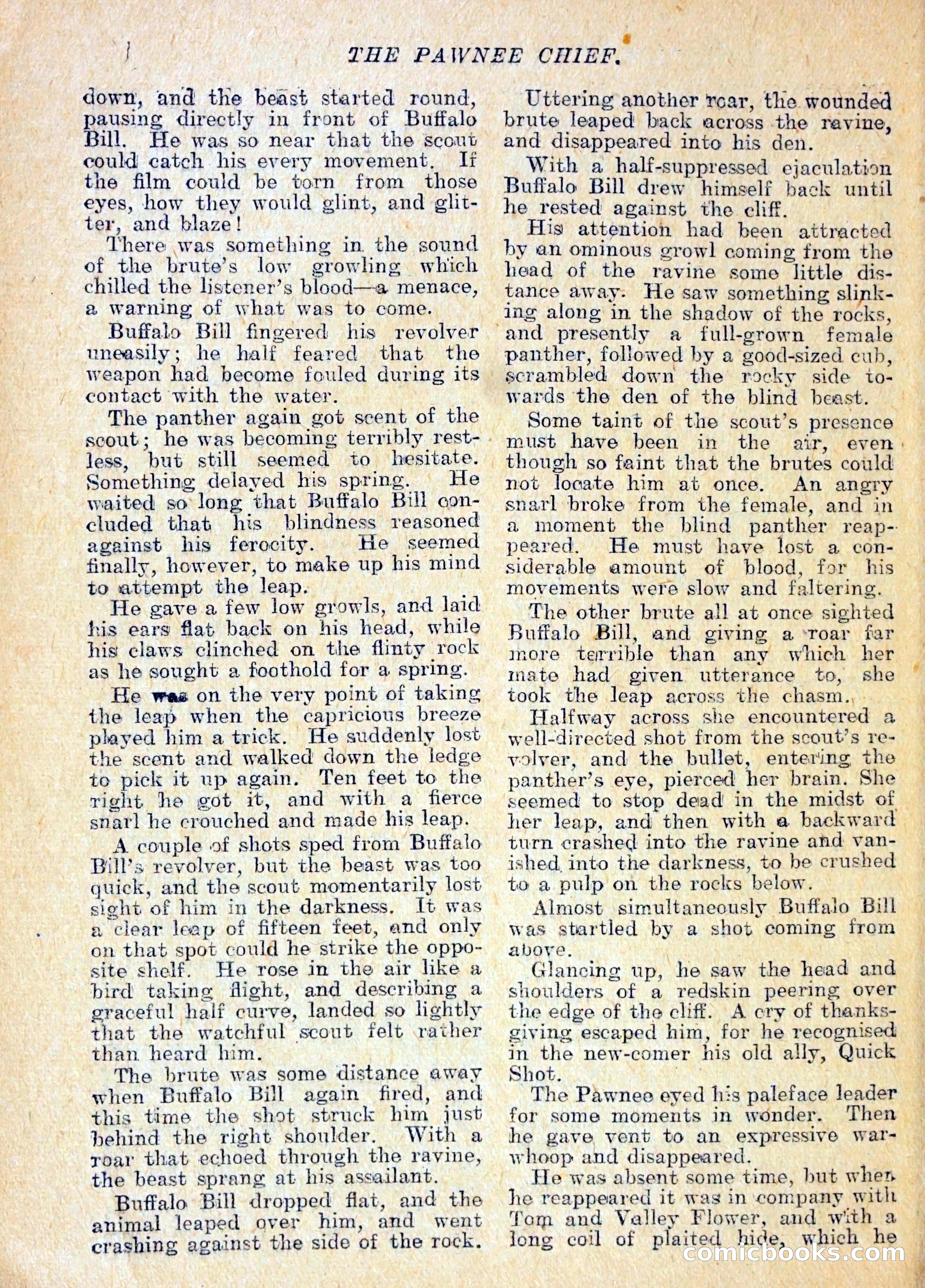 The Pawnee Chief — page 15 of 37