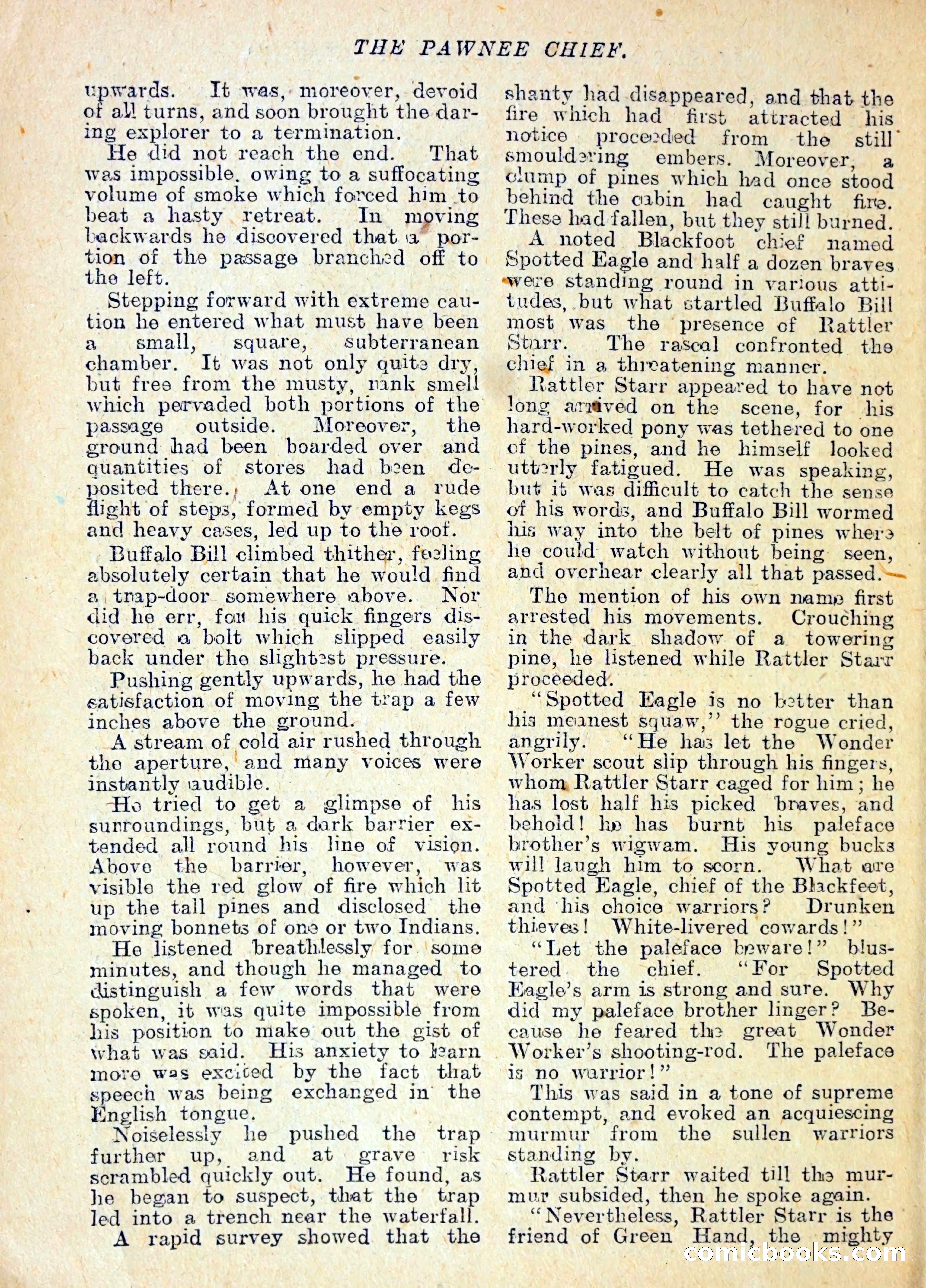 The Pawnee Chief — page 19 of 37
