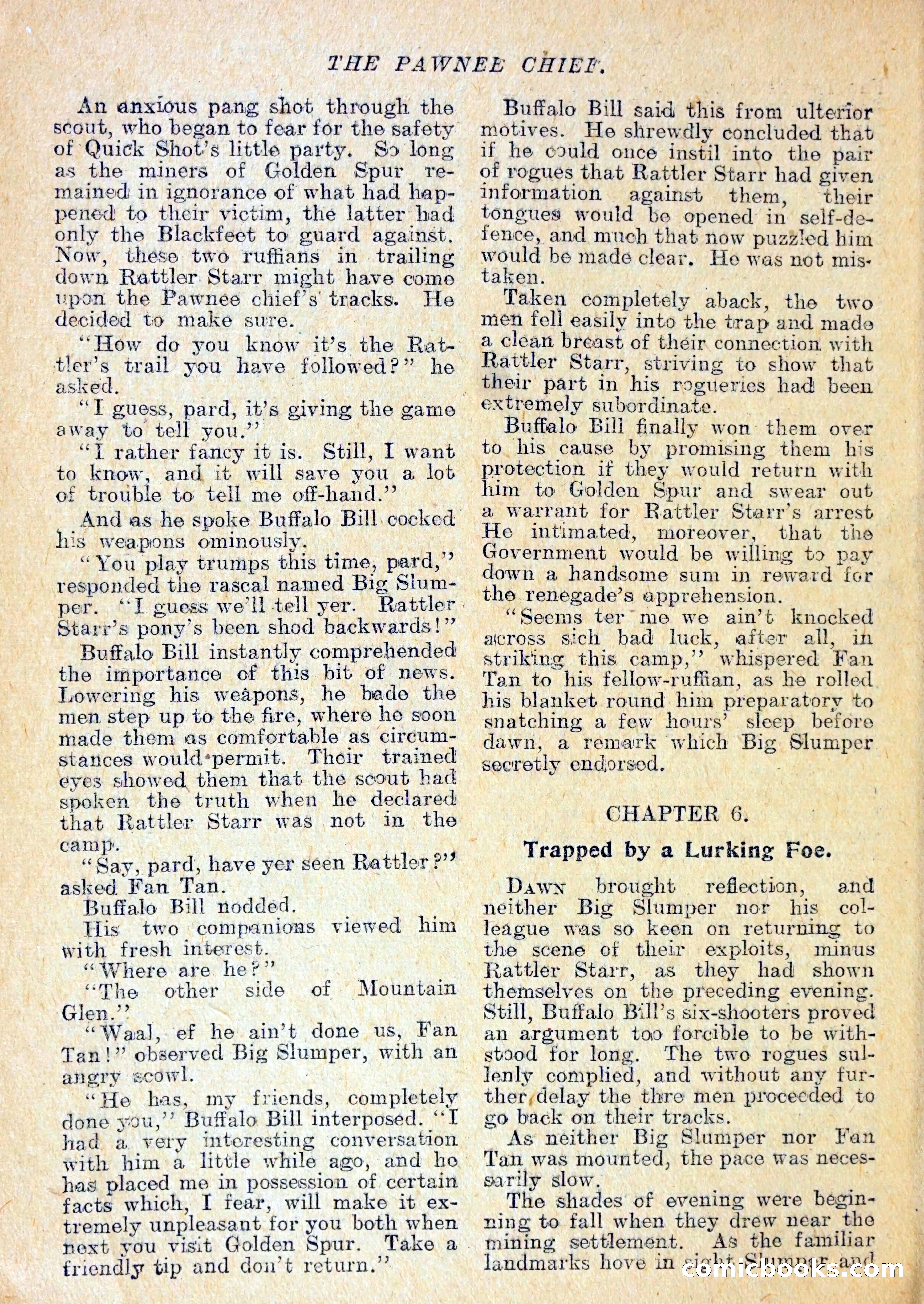 The Pawnee Chief — page 21 of 37