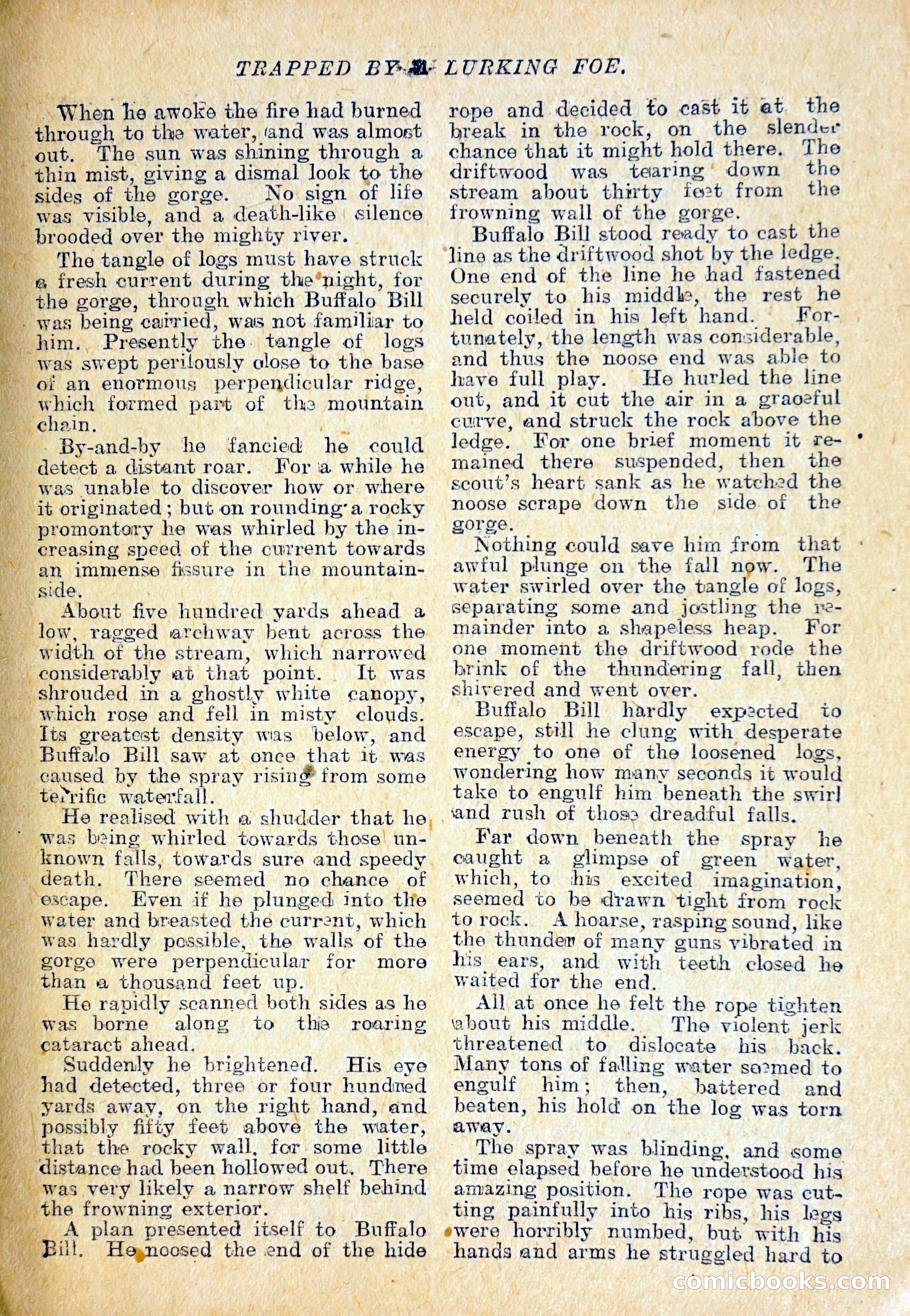 The Pawnee Chief — page 24 of 37